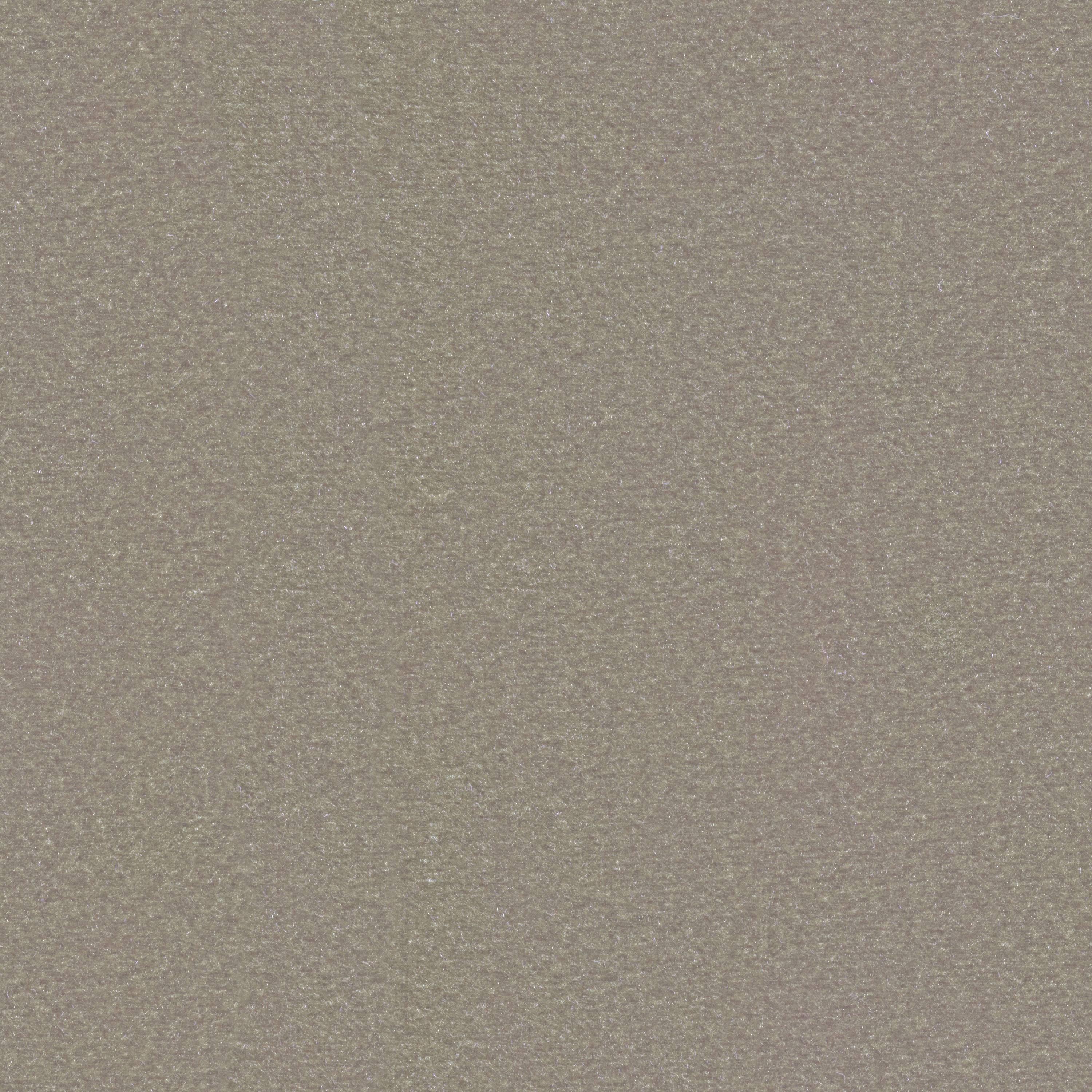 George | Colour Mushroom 100