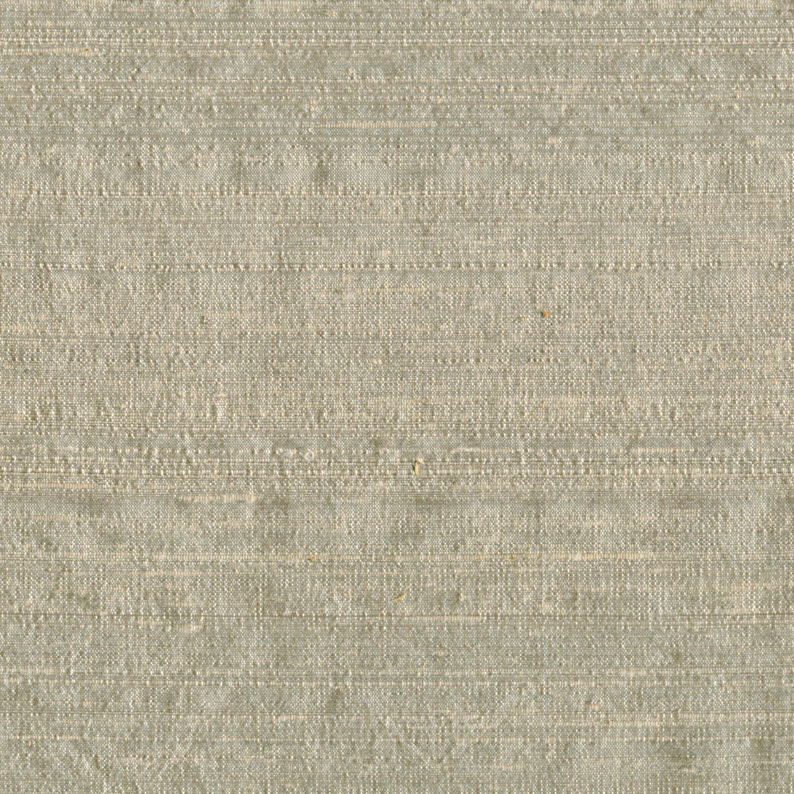 Indian Silk | Biscuit 10