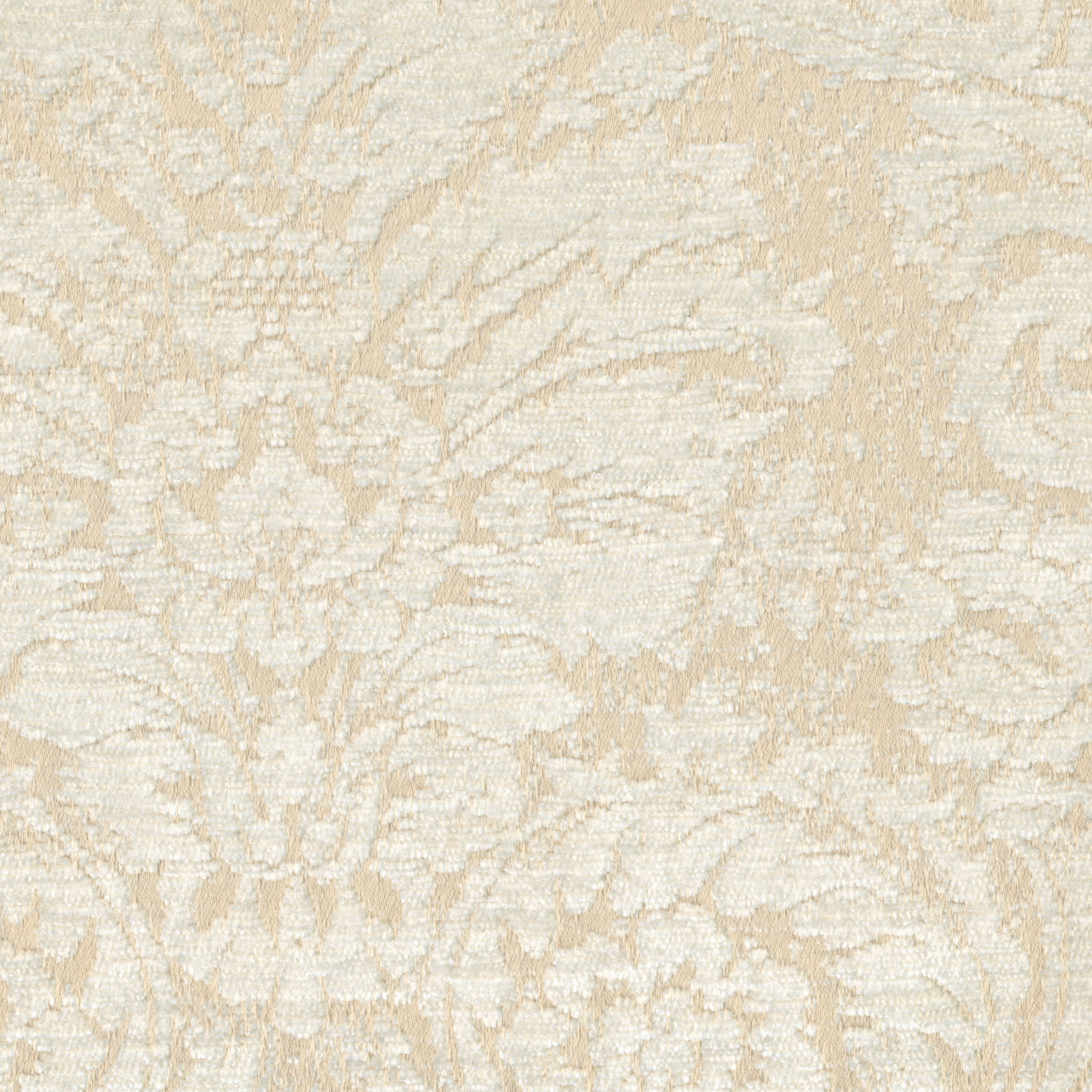 Jenifer | Colour 7