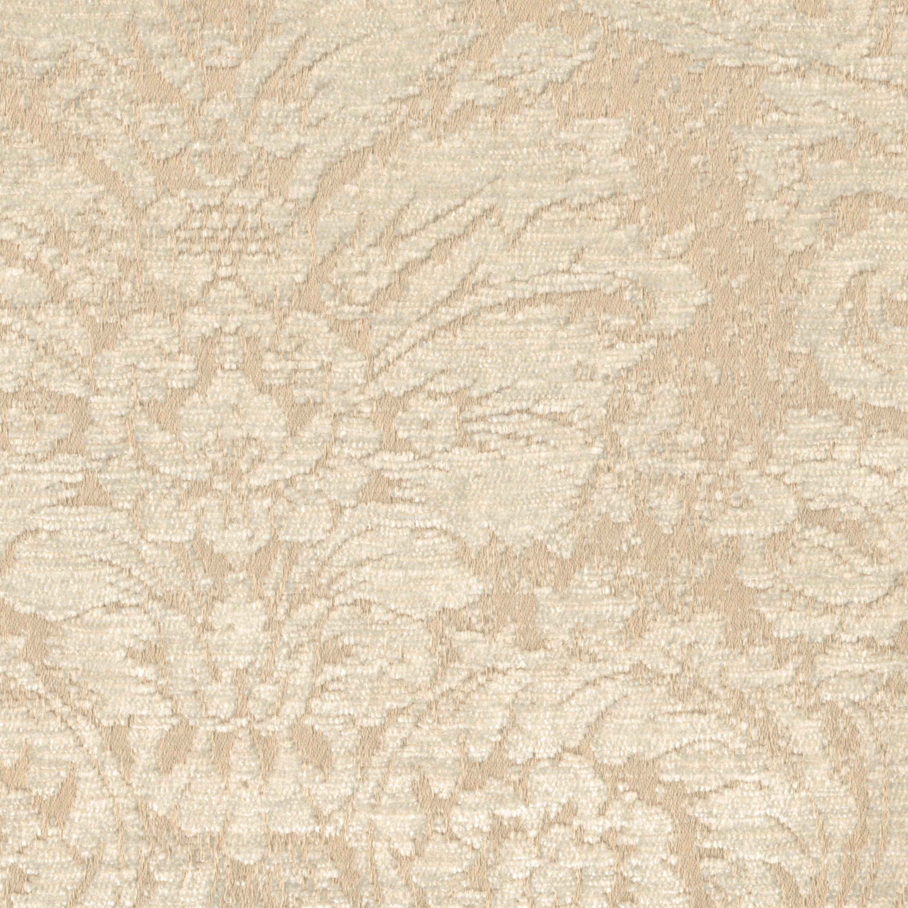 Jenifer | Colour 8