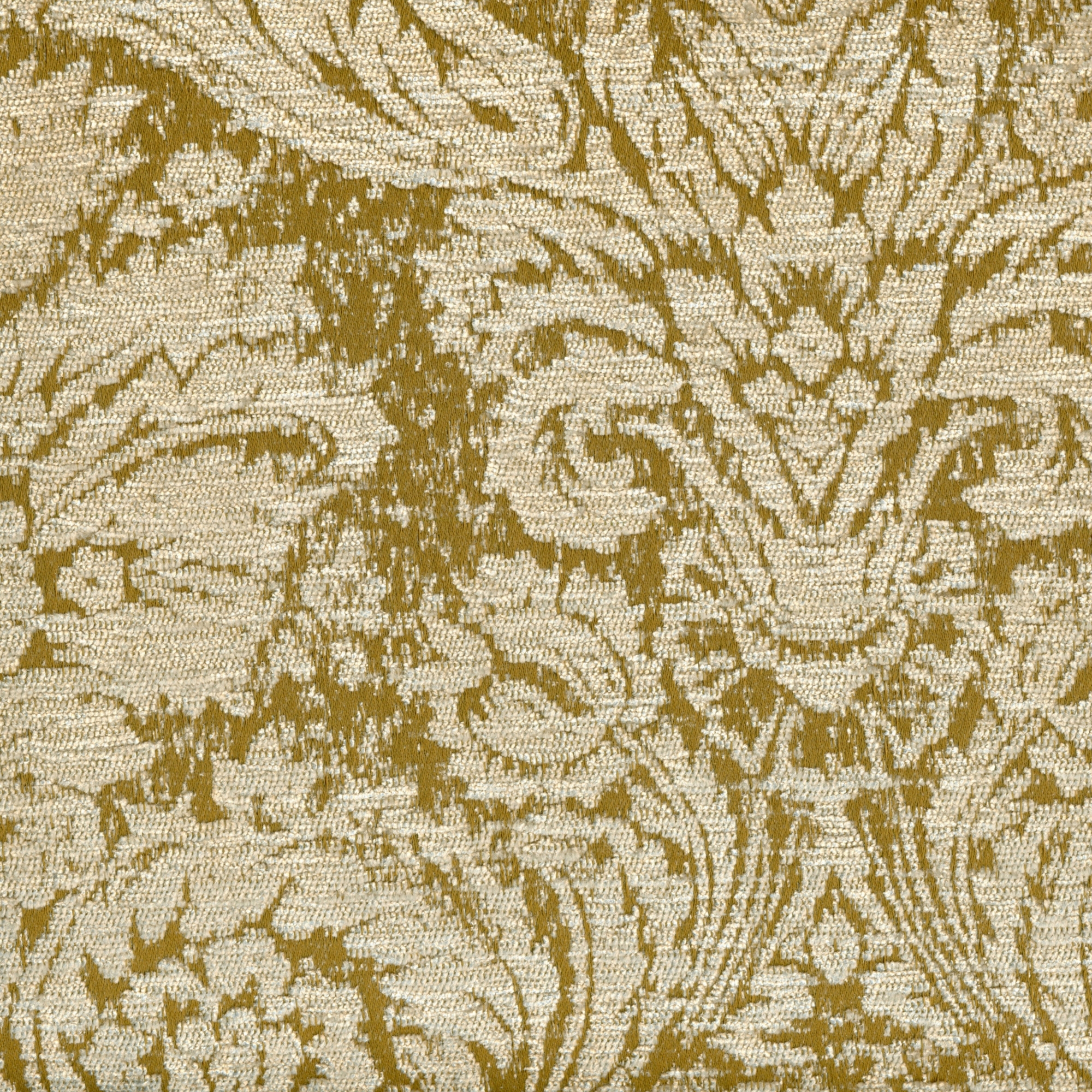 Jenifer | Colour 19