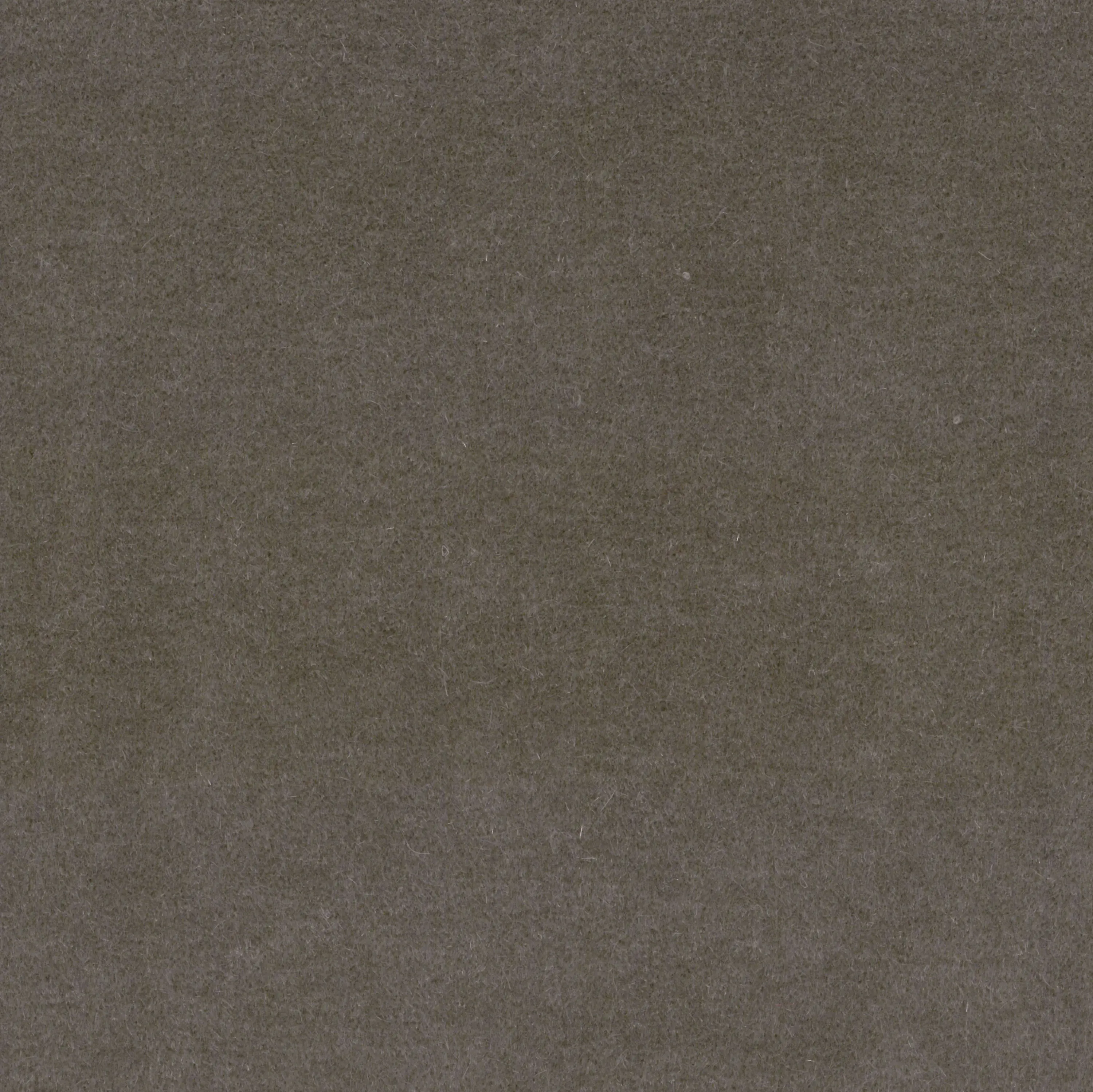 DEKOMA - Lincoln | Colour Taupe 07