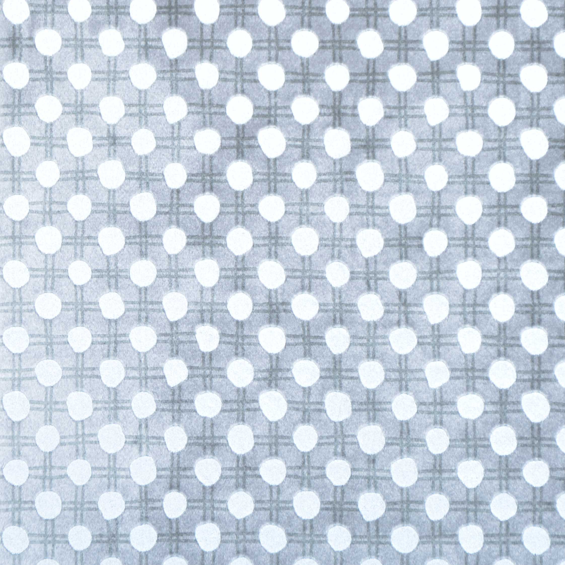 Produkt Ostracion | Colour Silver 201 des Herstellers DEKOMA anzeigen