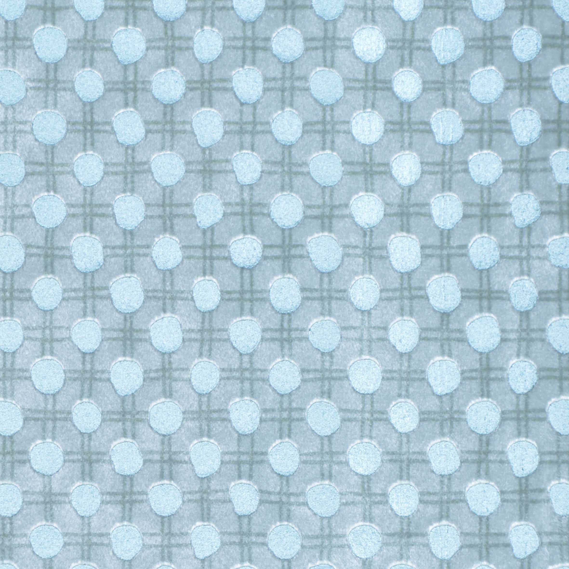 Ostracion | Colour Mint 202