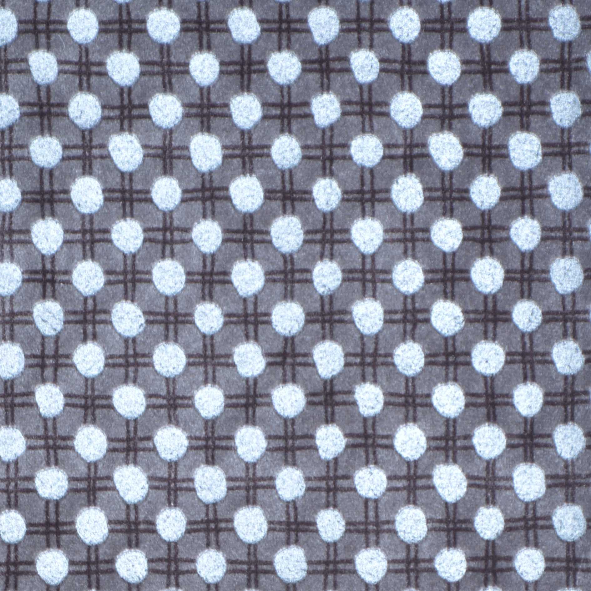 Ostracion | Colour Gray 203