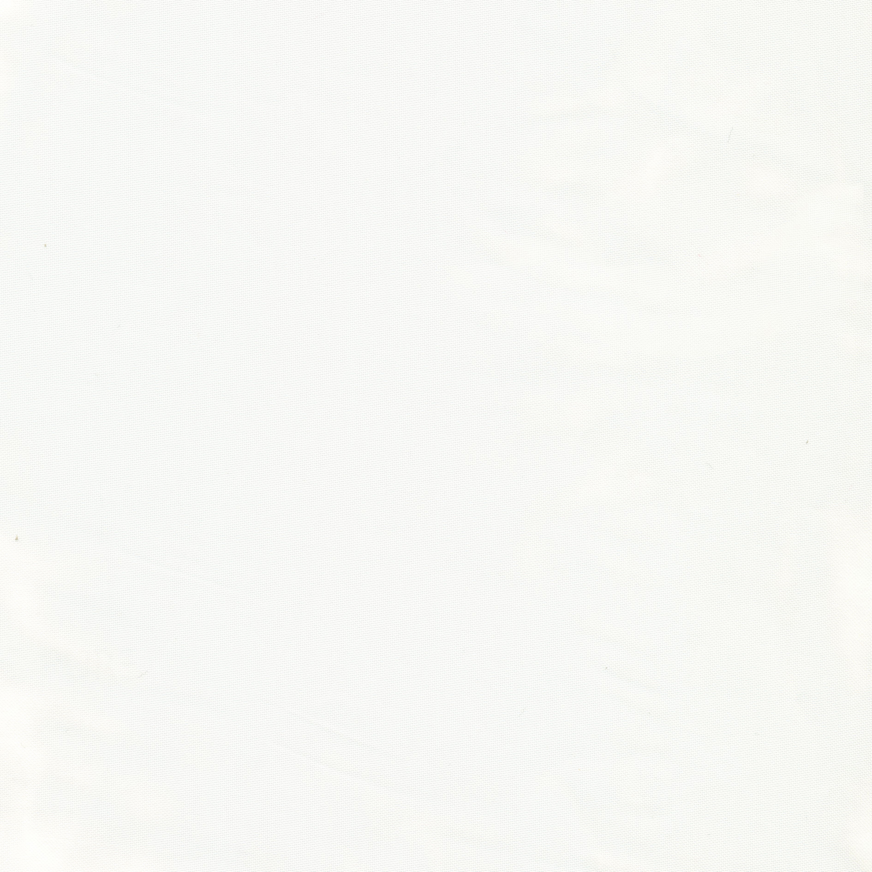 Porcelina | Colour Cream