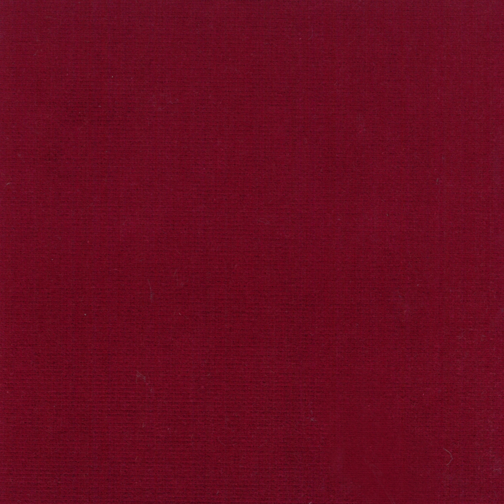 Renard | Colour Cherry 04