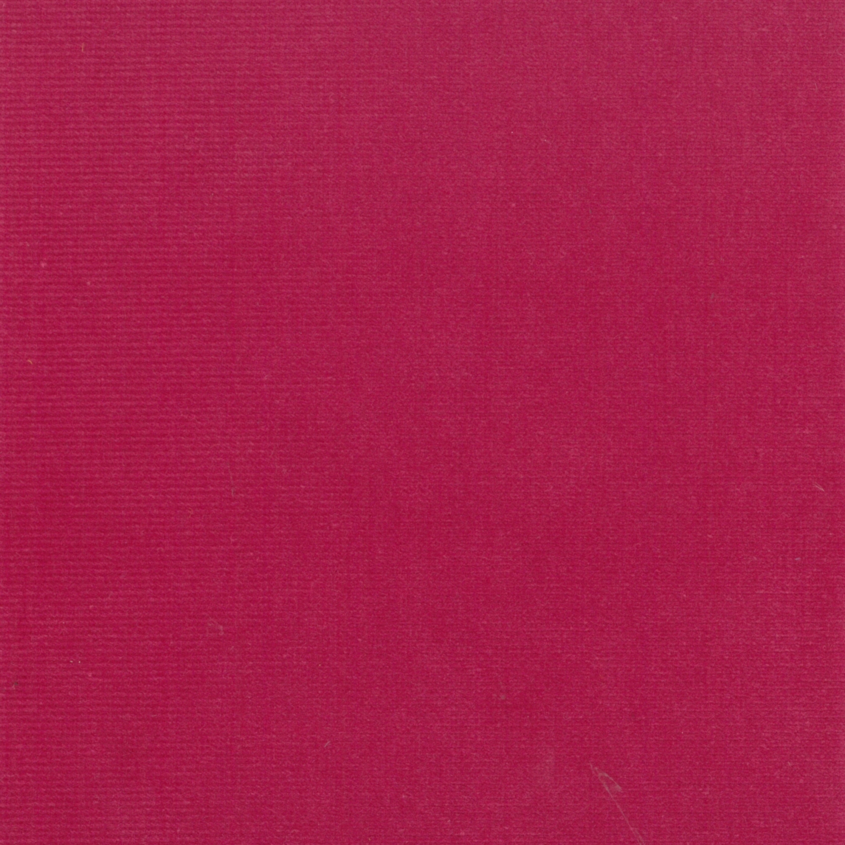 Renard | Colour Coctail 05
