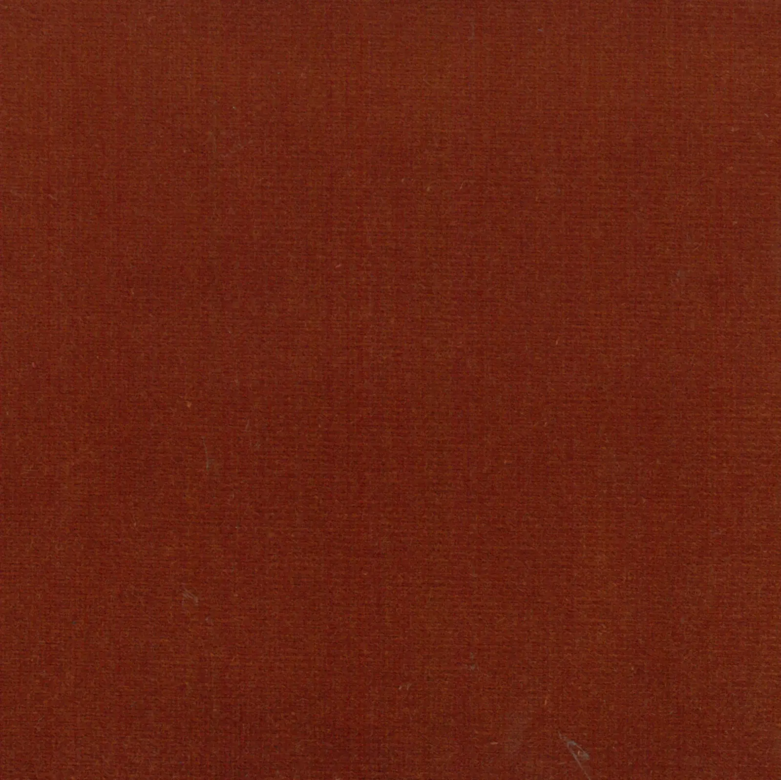 DEKOMA - Renard | Colour Rust 01