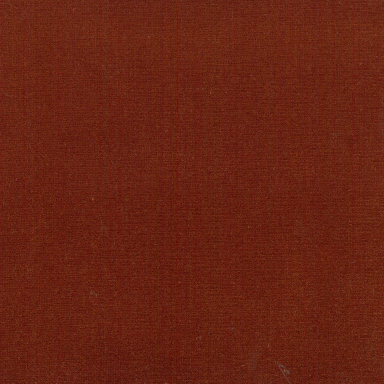 Renard | Colour Rust 01