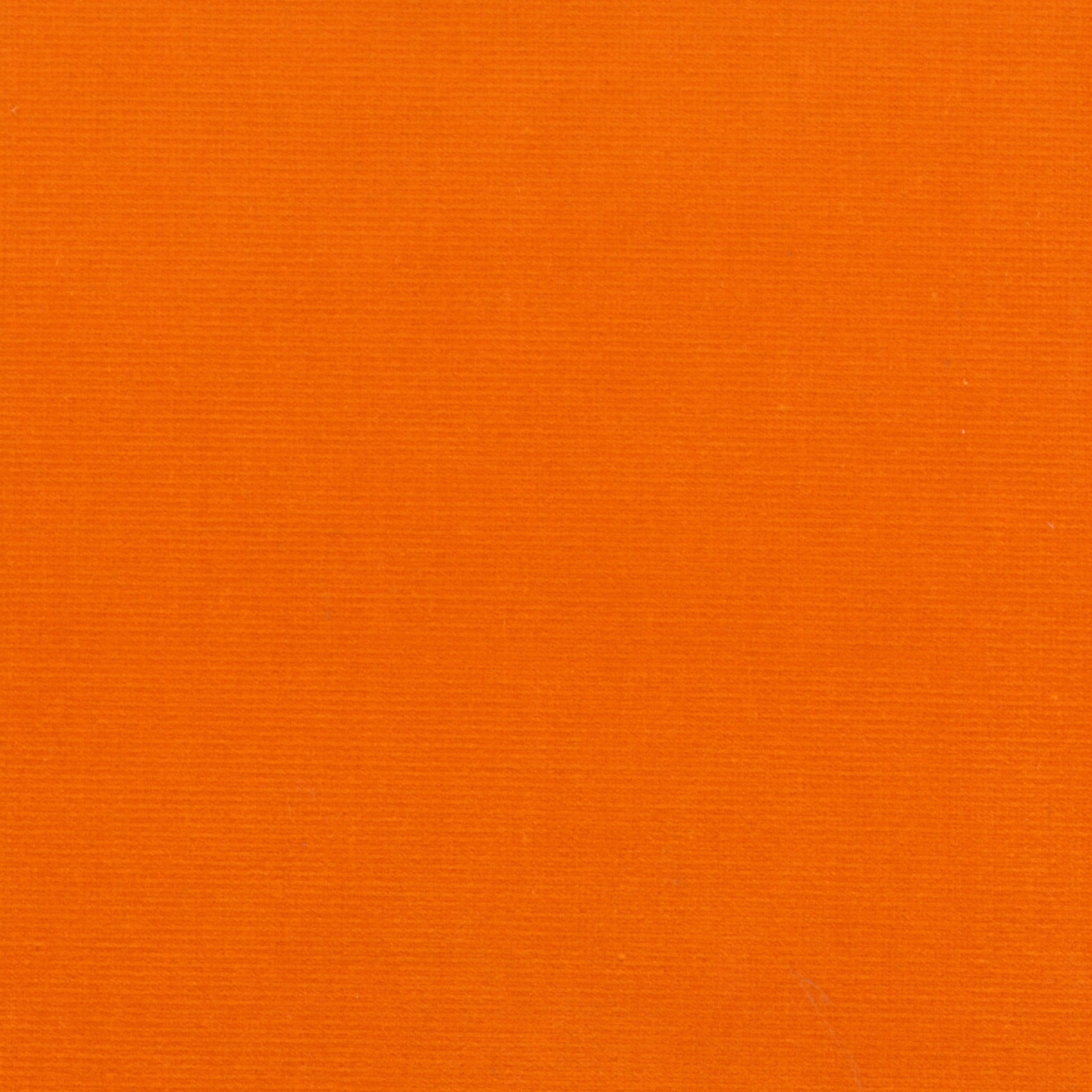 Renard | Colour Tangerine 06
