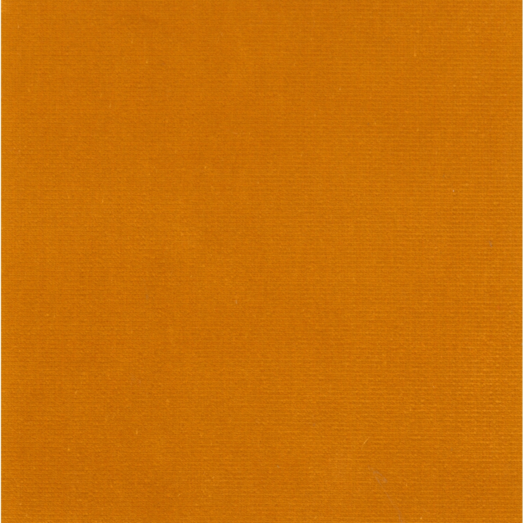 Renard | Colour Apricot 02