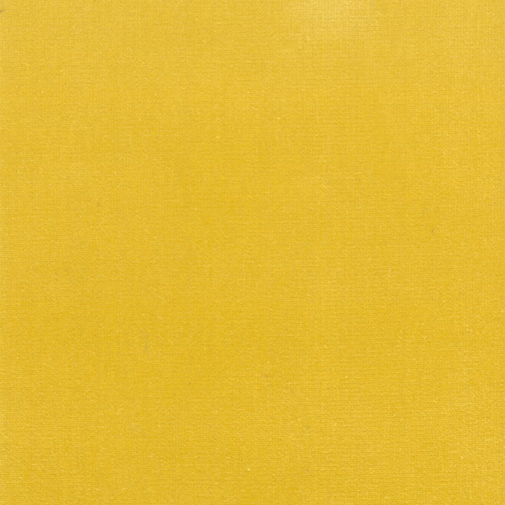 Renard | Colour Sunflower 29