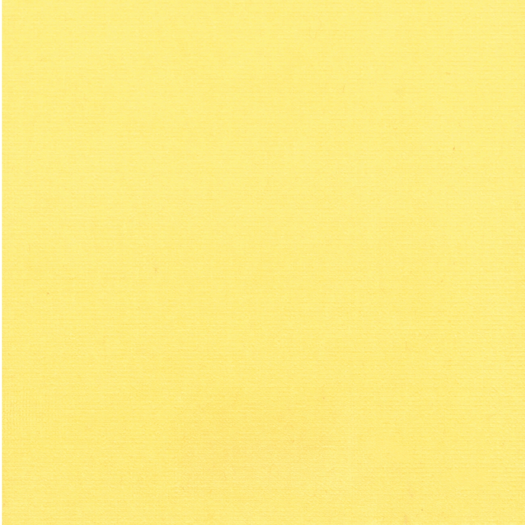 Renard | Colour Acacia 46