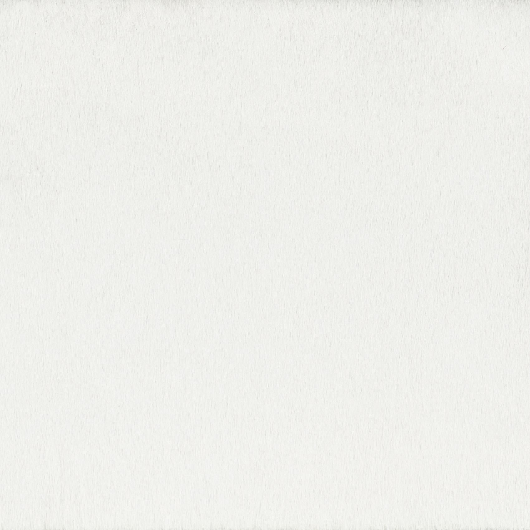 Matilda | Colour White 02