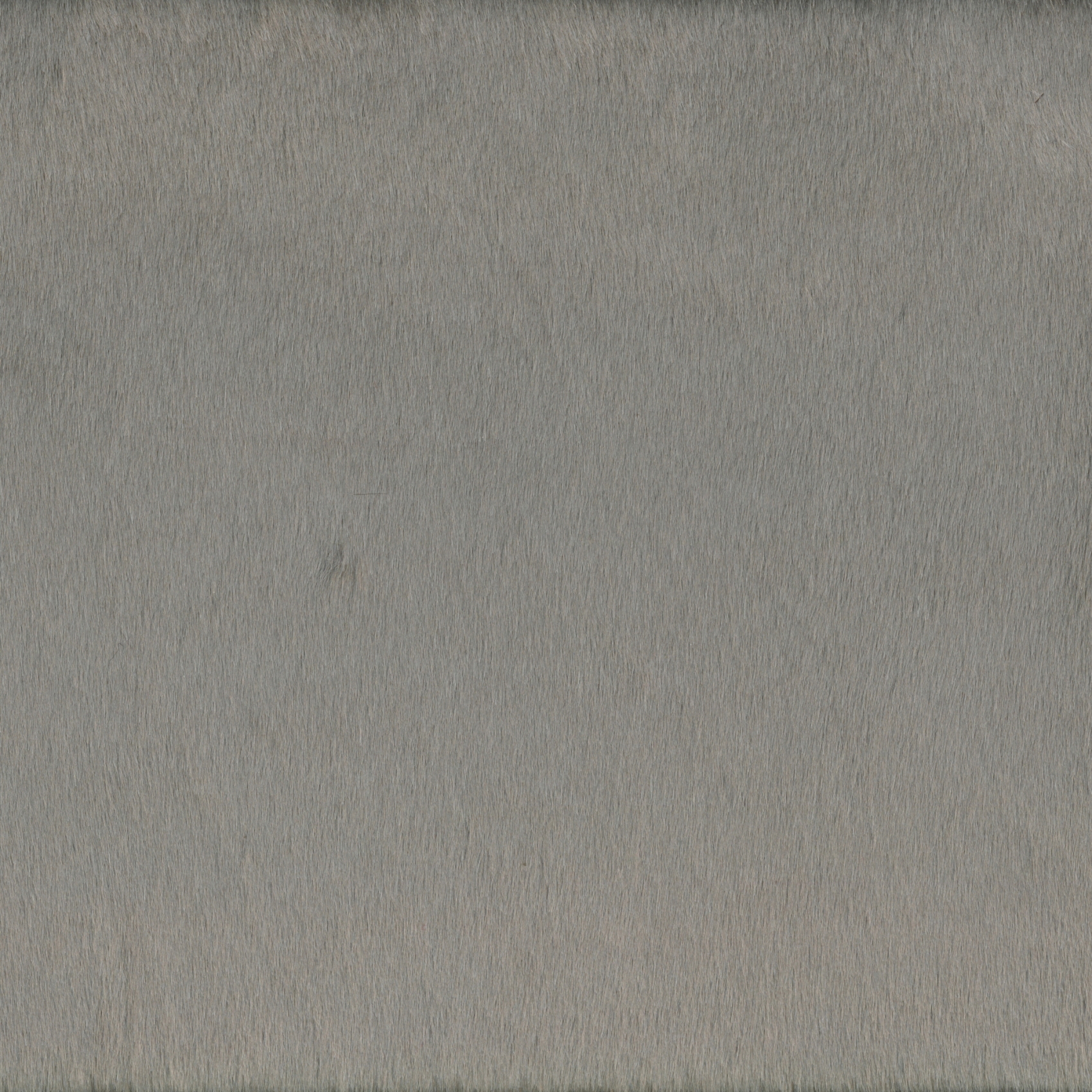 Matilda | Colour Grey 04