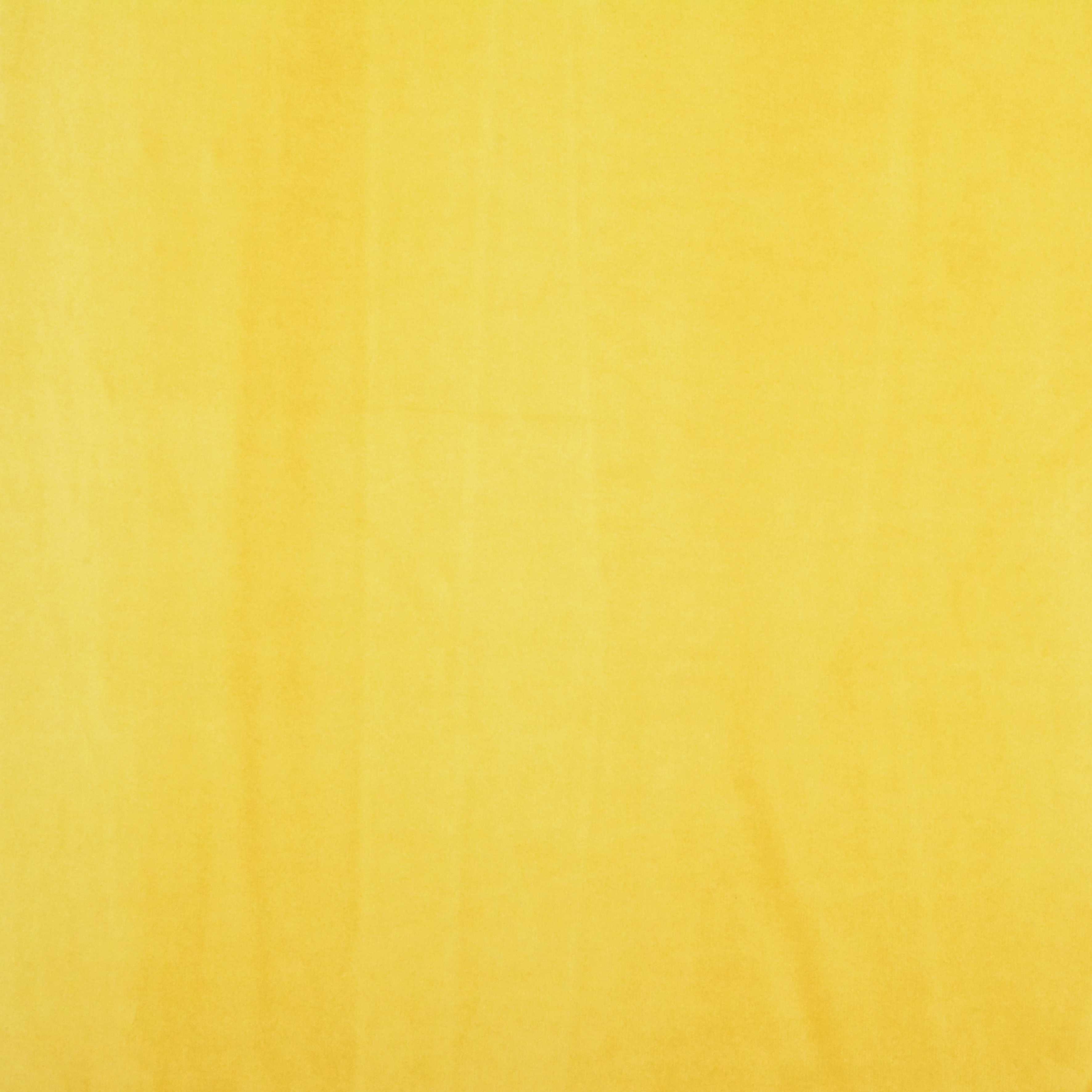 Spring | Colour Mustard 5268