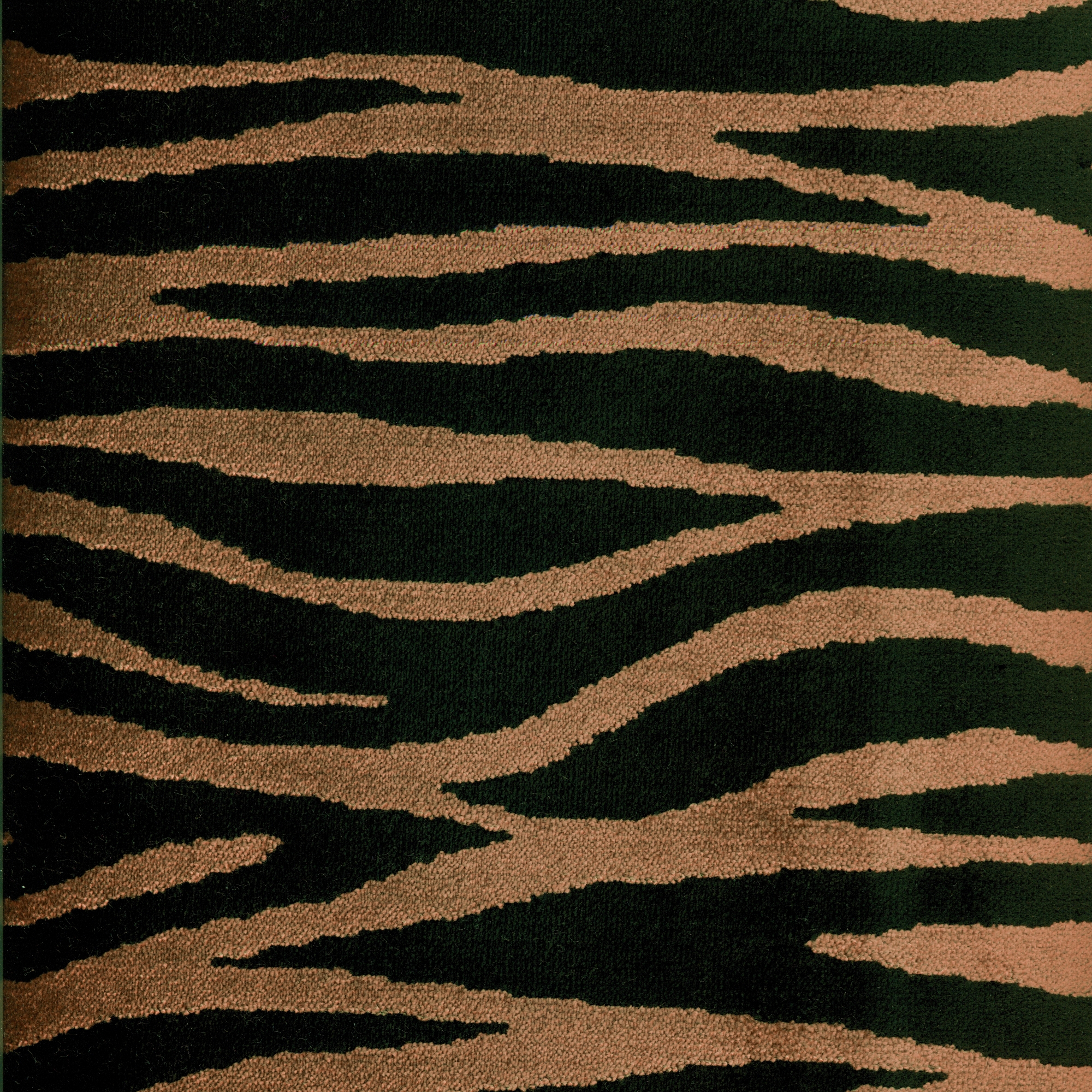 Teigra | Colour Zahar 5/12