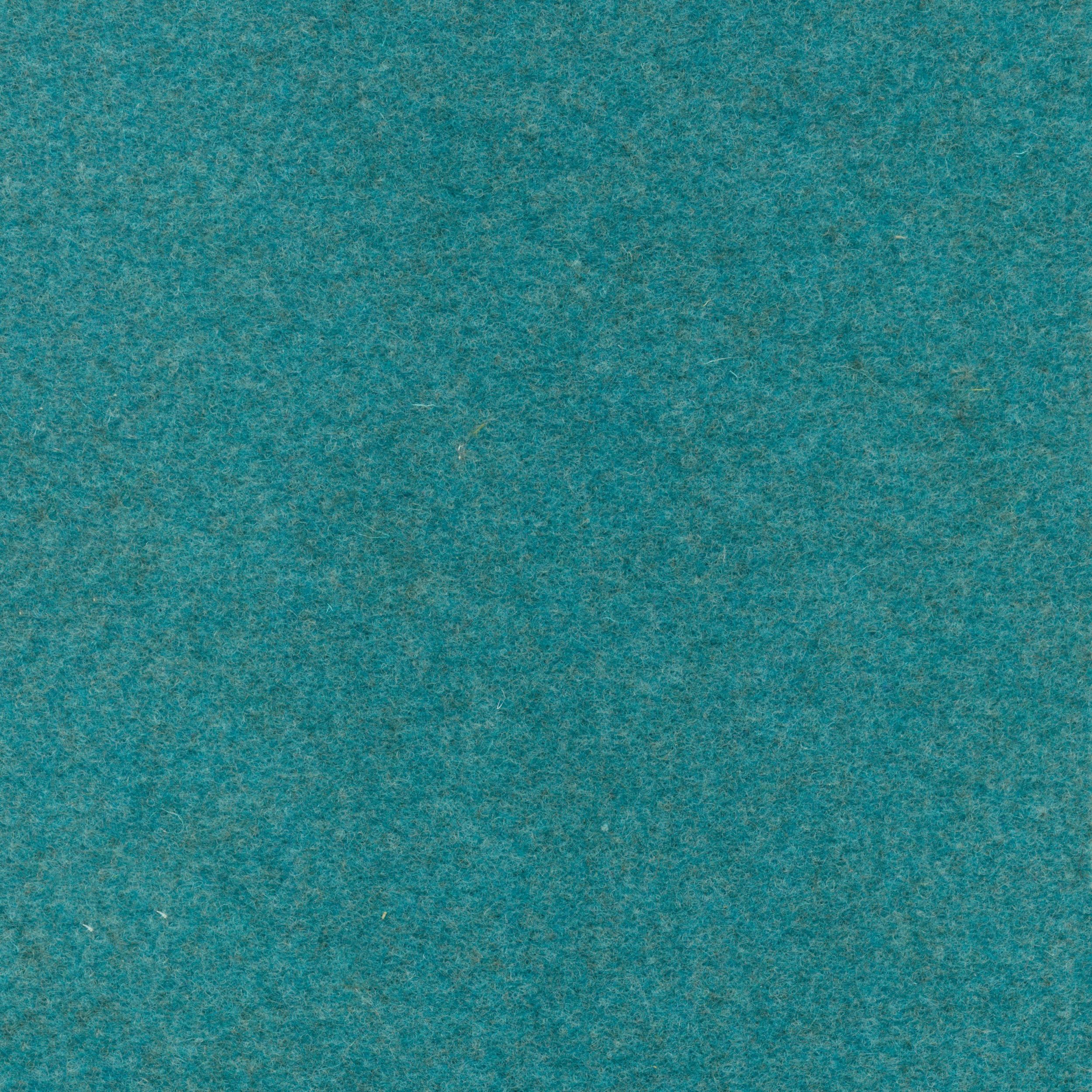 Walt | Colour Azure 041