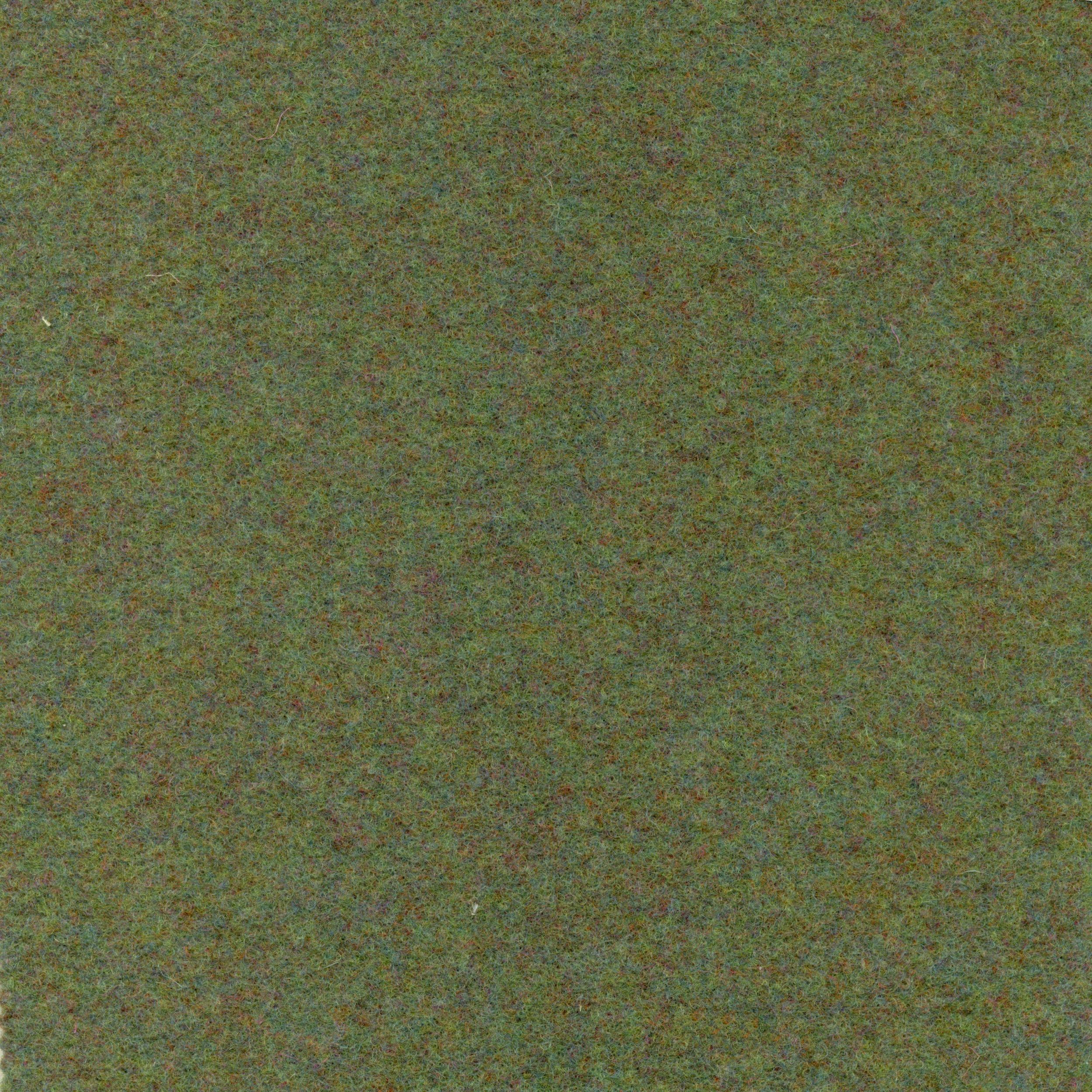 Walt | Colour Asparagus 319