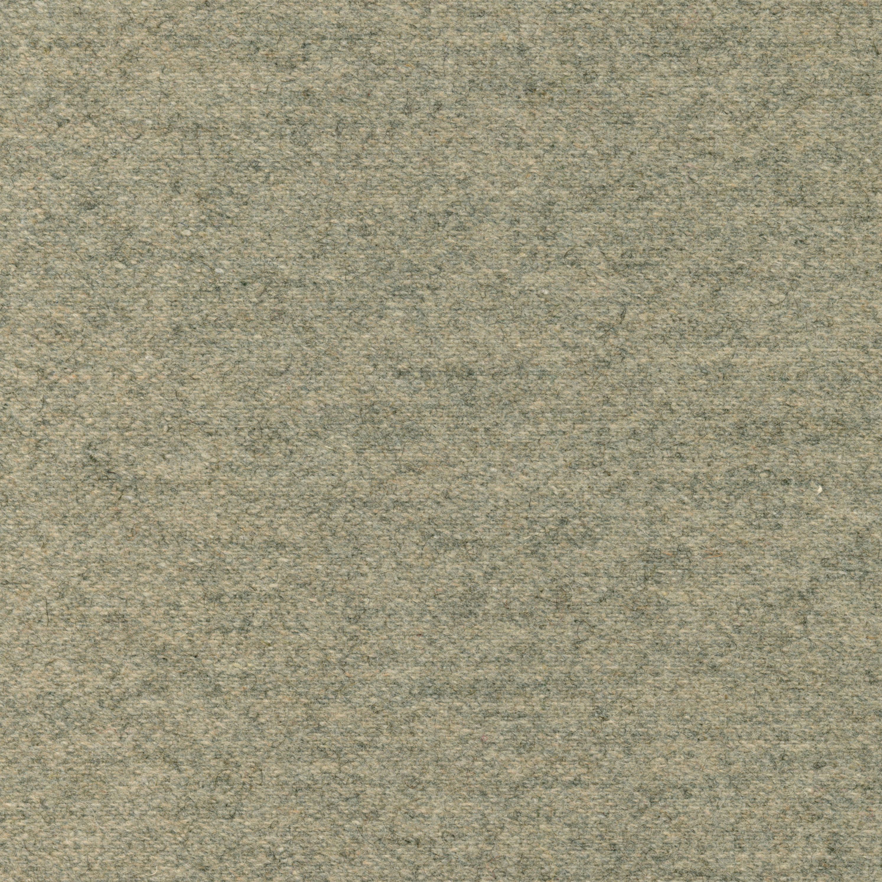 Wool | Colour Biscuit 17