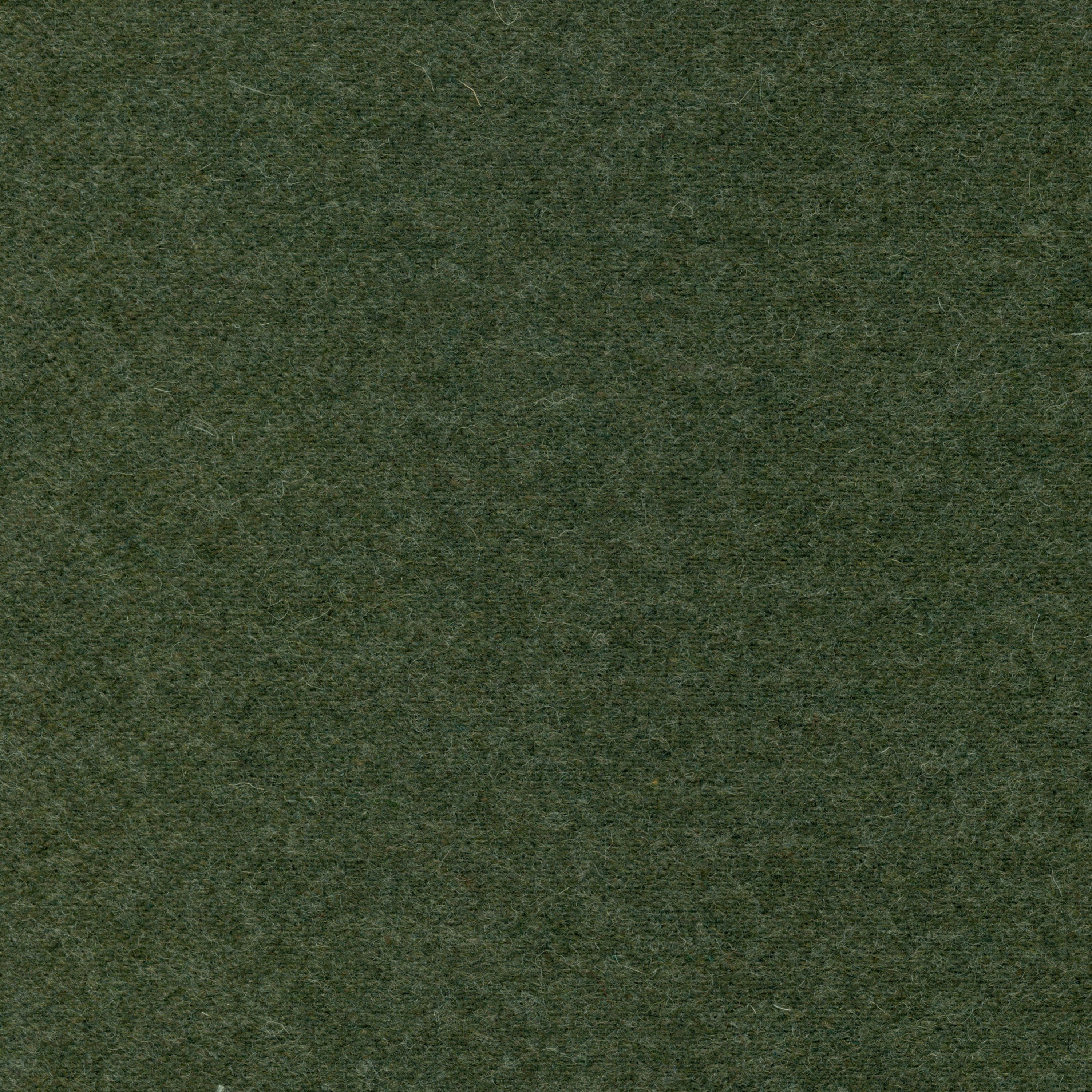 Wool | Colour Lichen 24