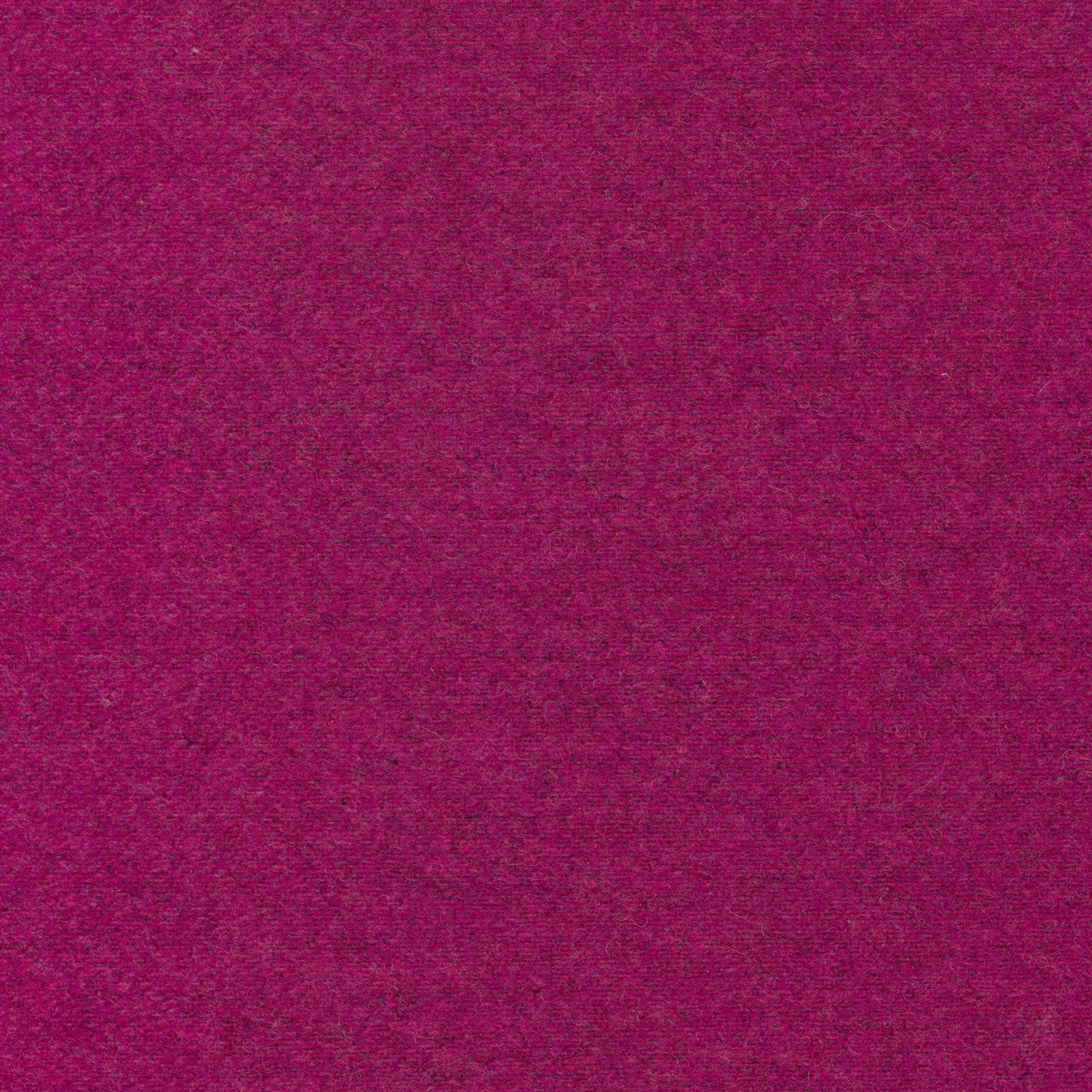 Wool | Colour Fuchsia 20
