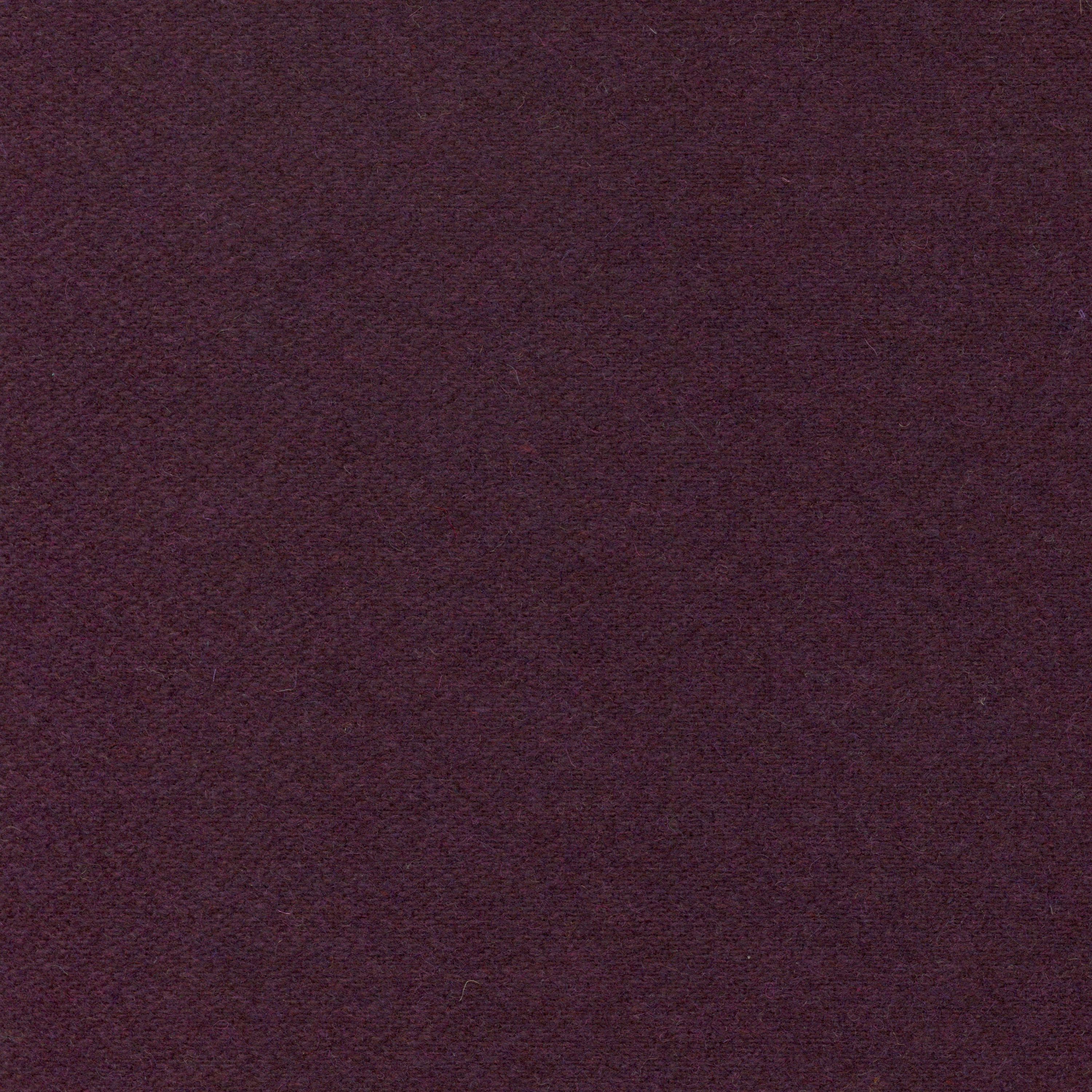 Wool | Colour Eggplant 12