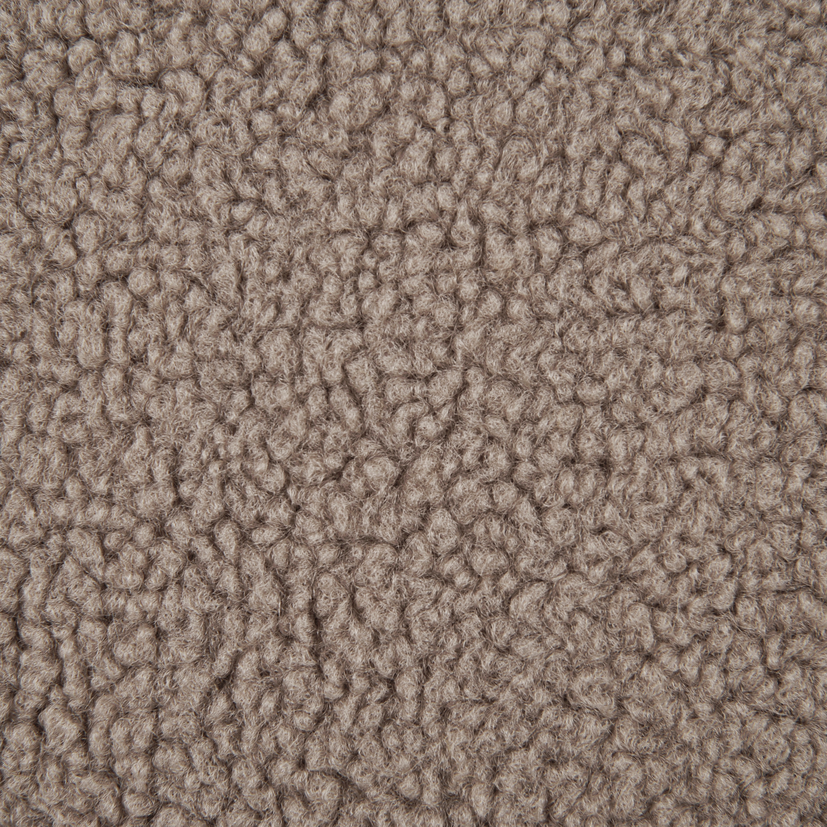 Agnello | Colour Dove 02