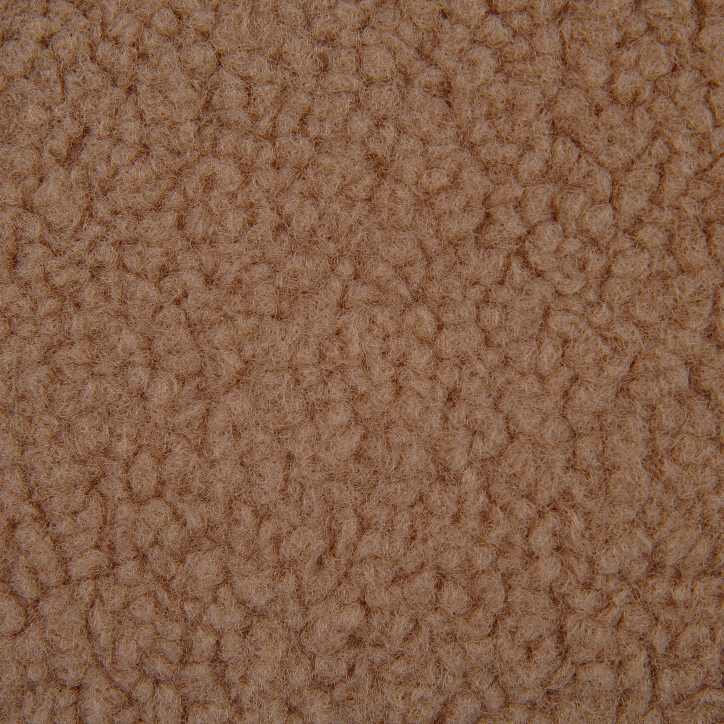 Agnello | Colour Latte 04