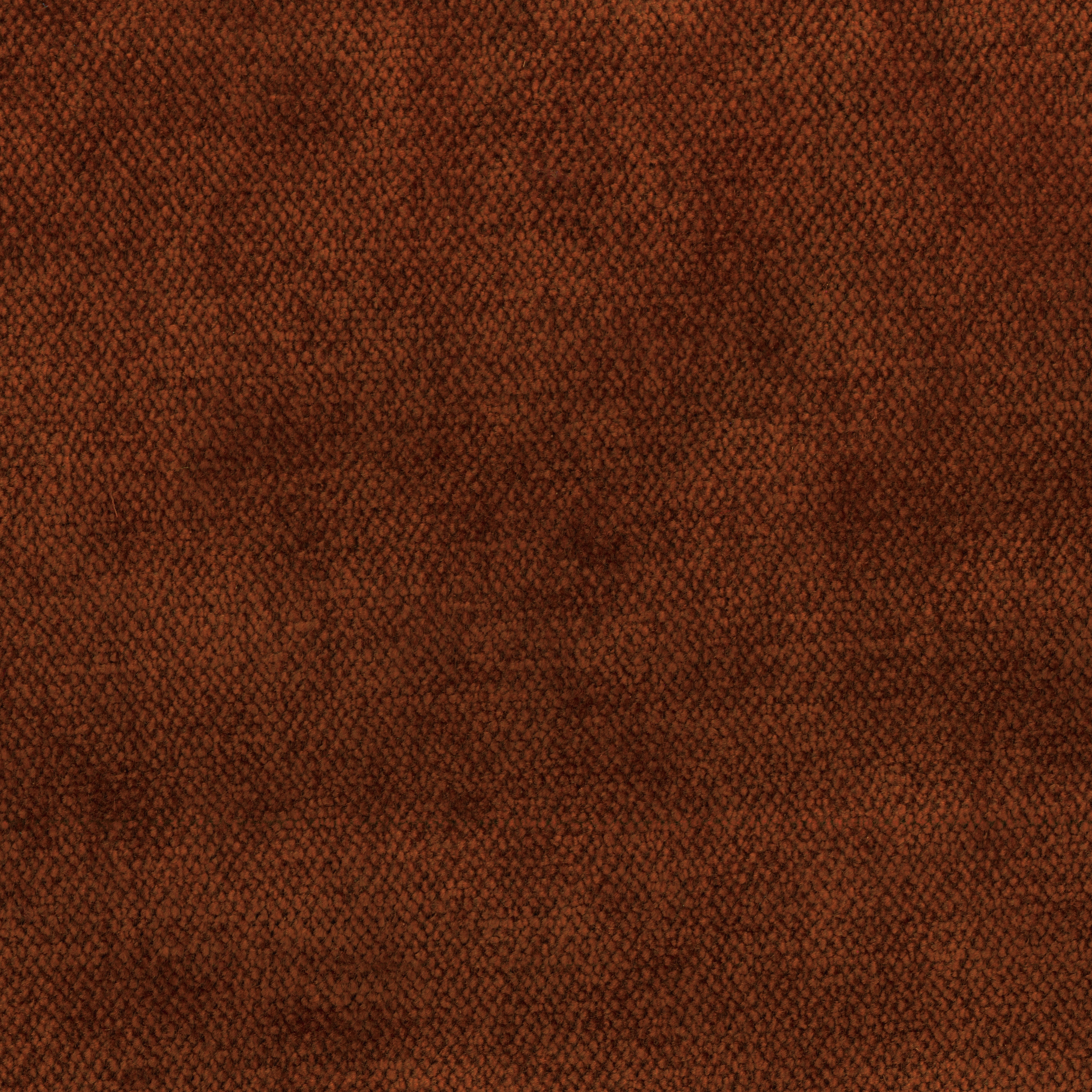 Asmara | Colour Bear 211