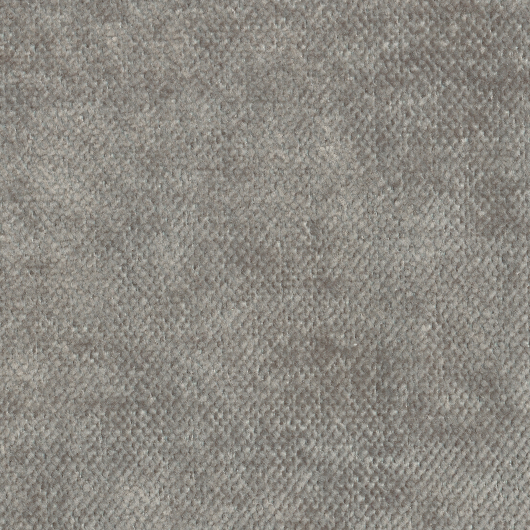 Asmara | Colour Pearl 851