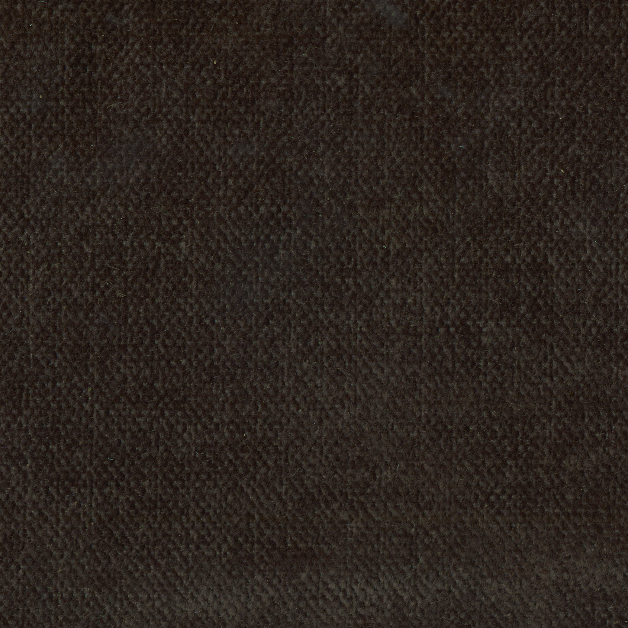 Asmara | Colour Pewter 405