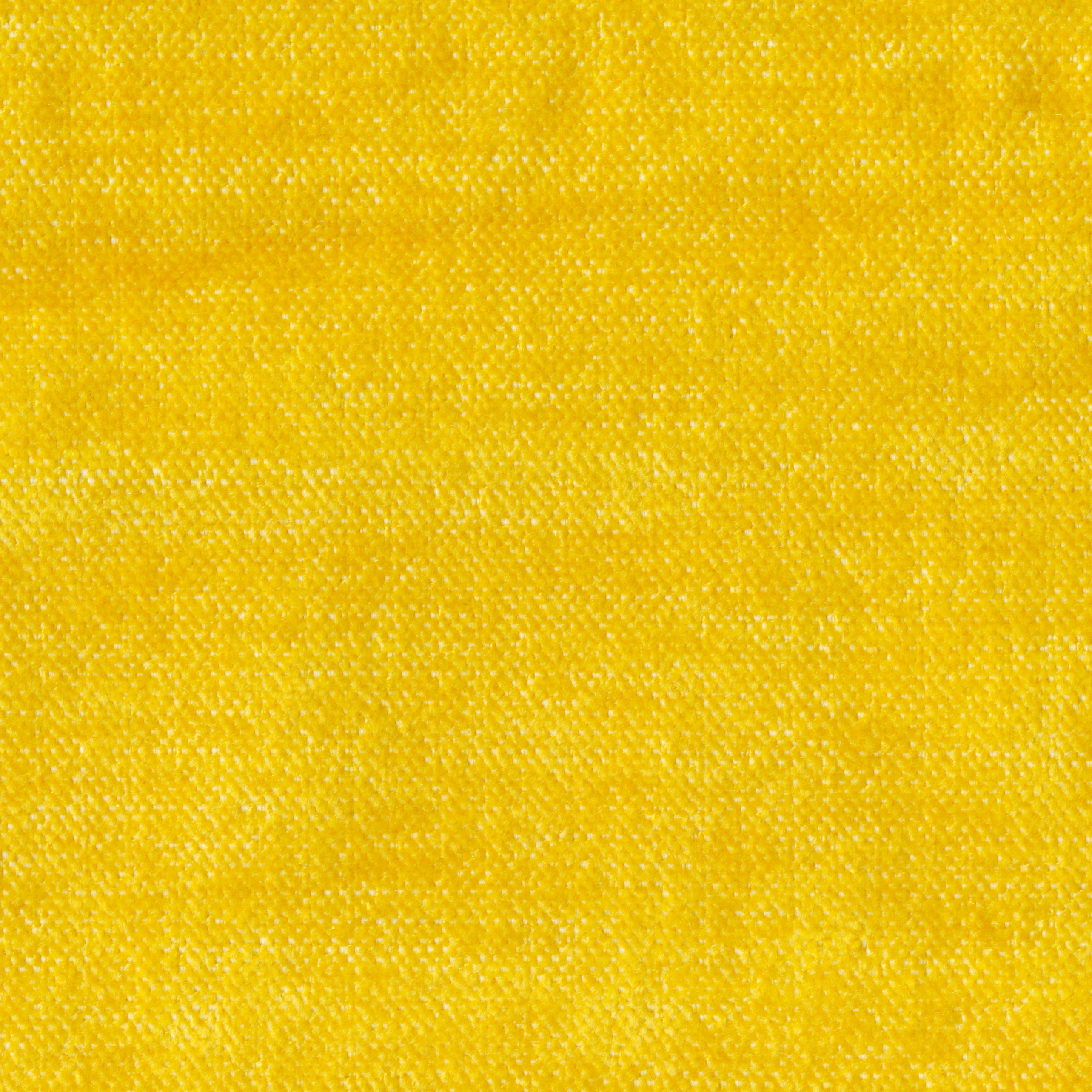 Asmara | Colour Sunflower 872