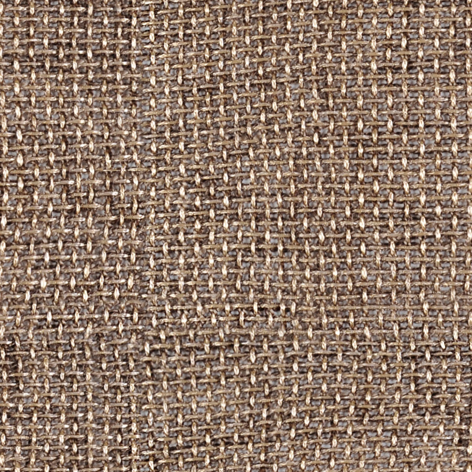Eleni | Colour Truffle 11