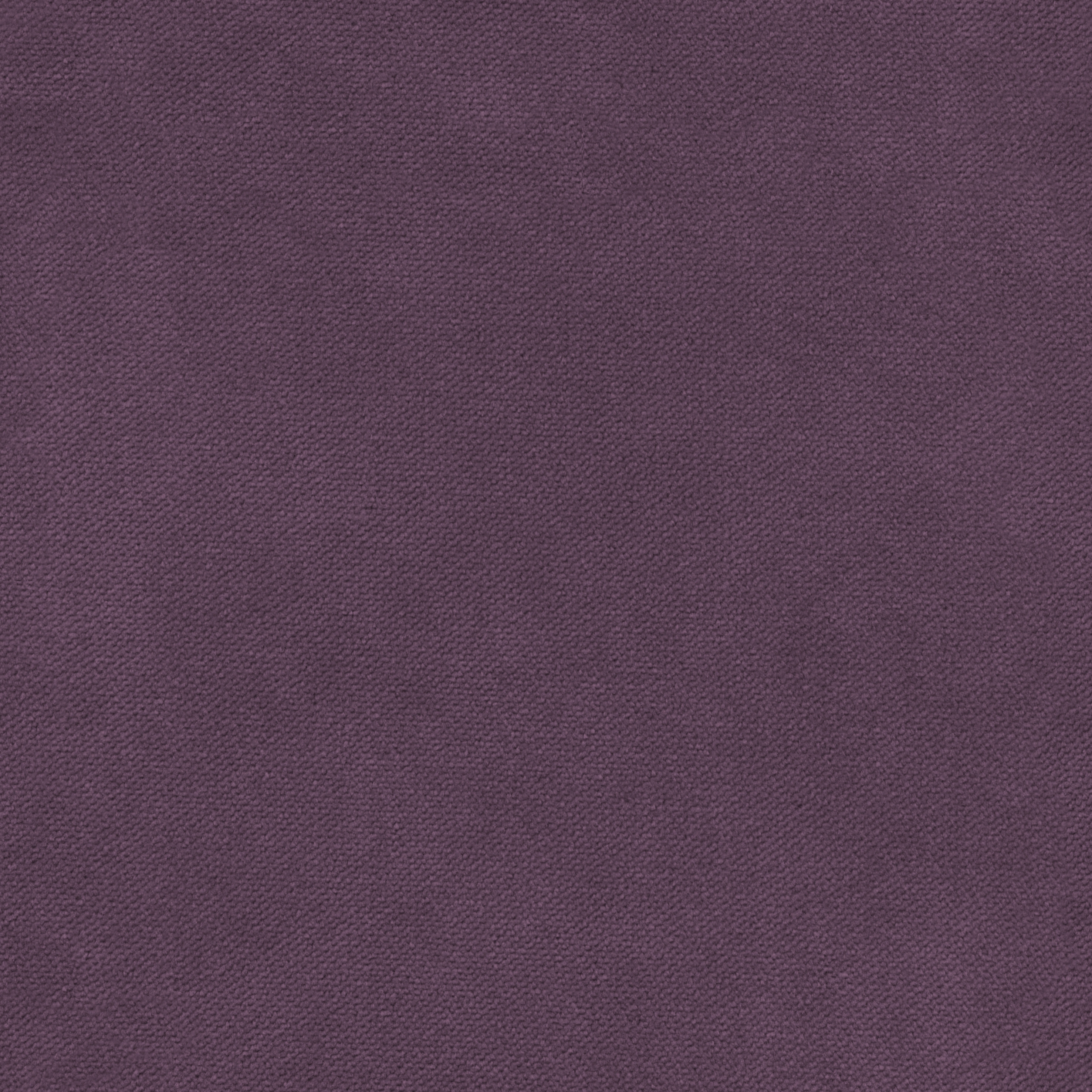 Mostrar el producto Henry | Colour
Pourple 433 del fabricante DEKOMA