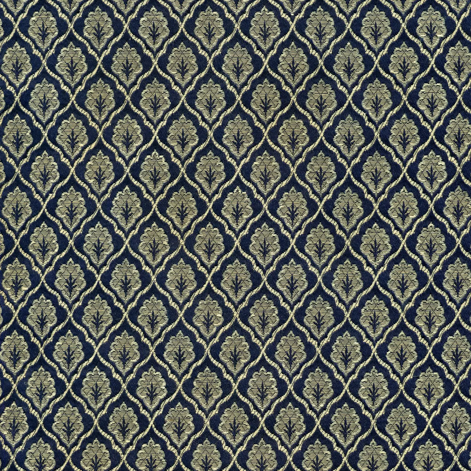 DEKOMA - Scarlatti | Coulor Cobalt 001
