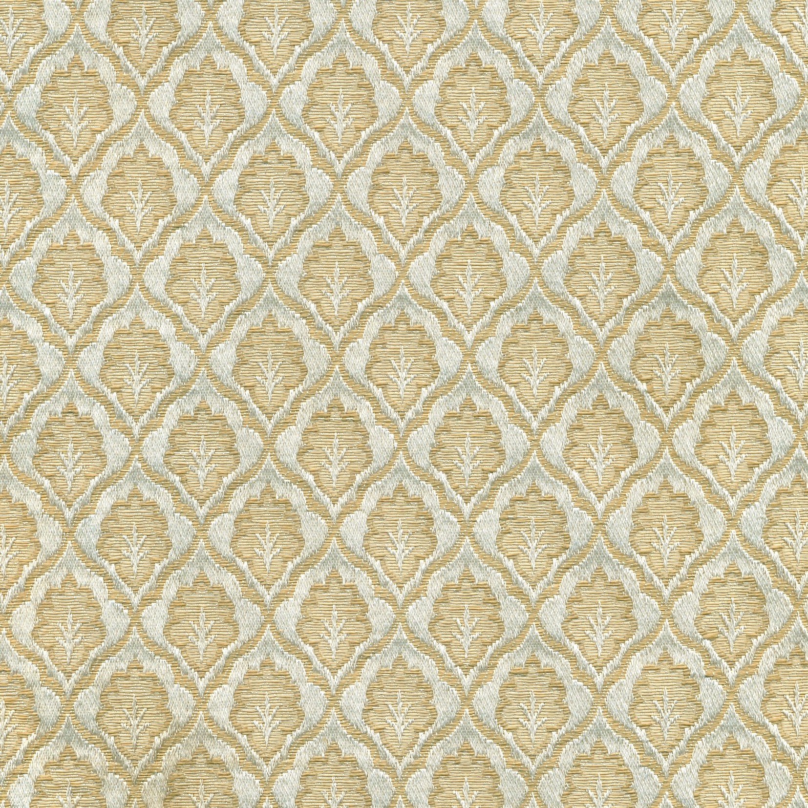 Scarlatti | Coulor Sesame 001
