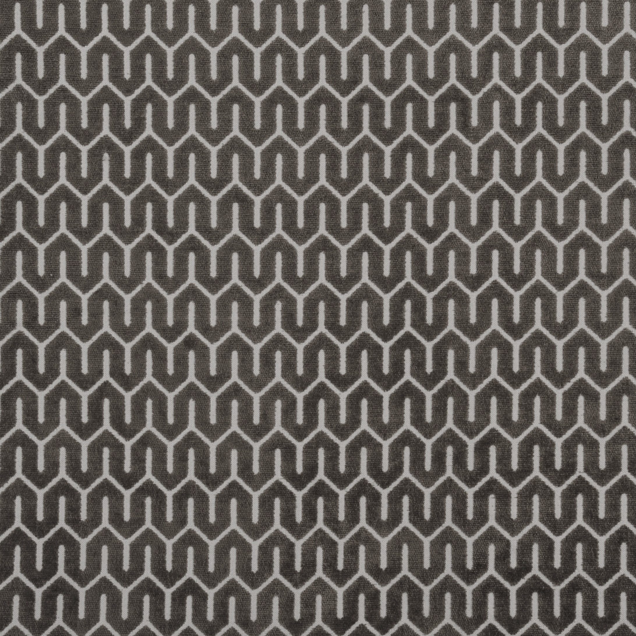 Tunis | Colour Castor 853