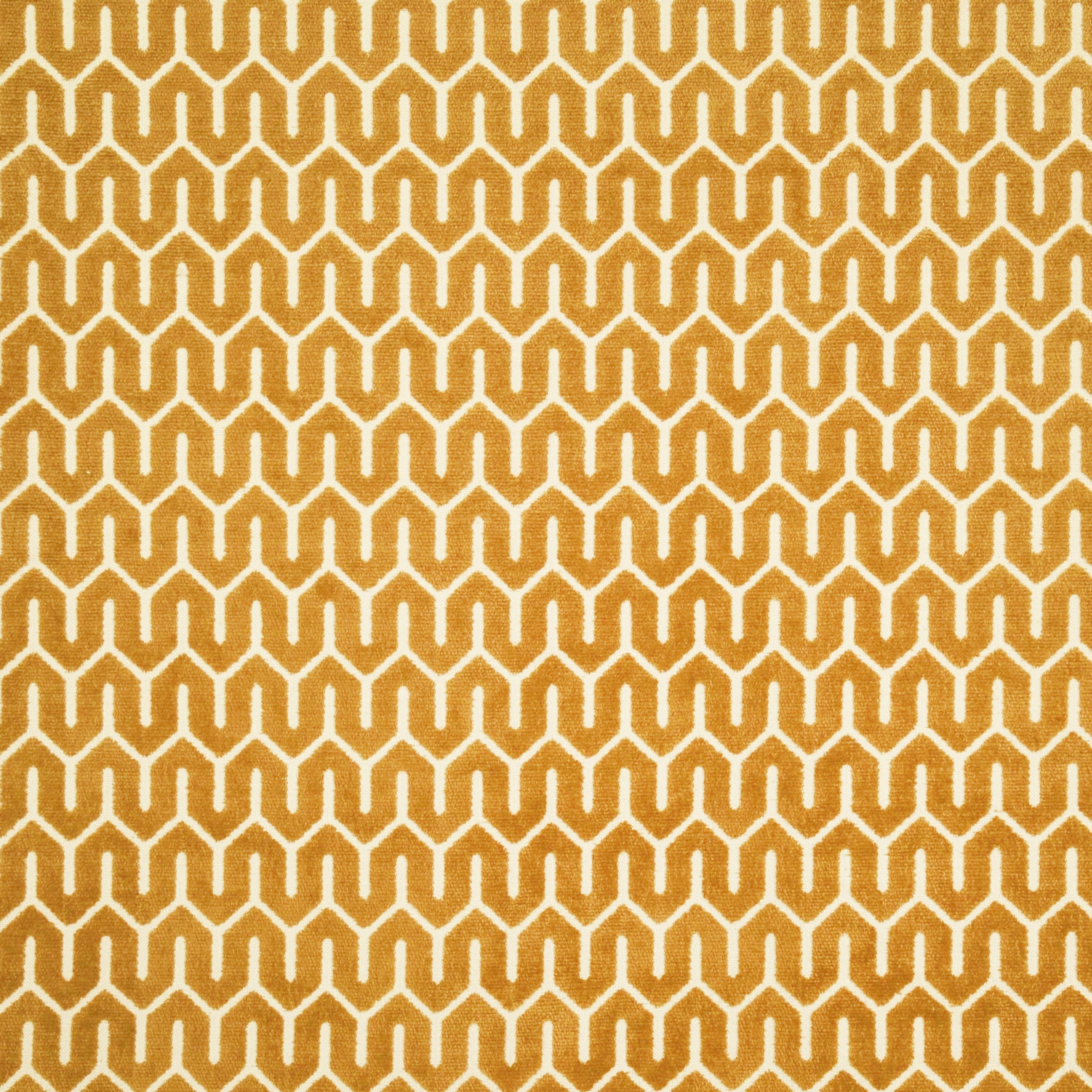 Tunis | Colour Spice 863