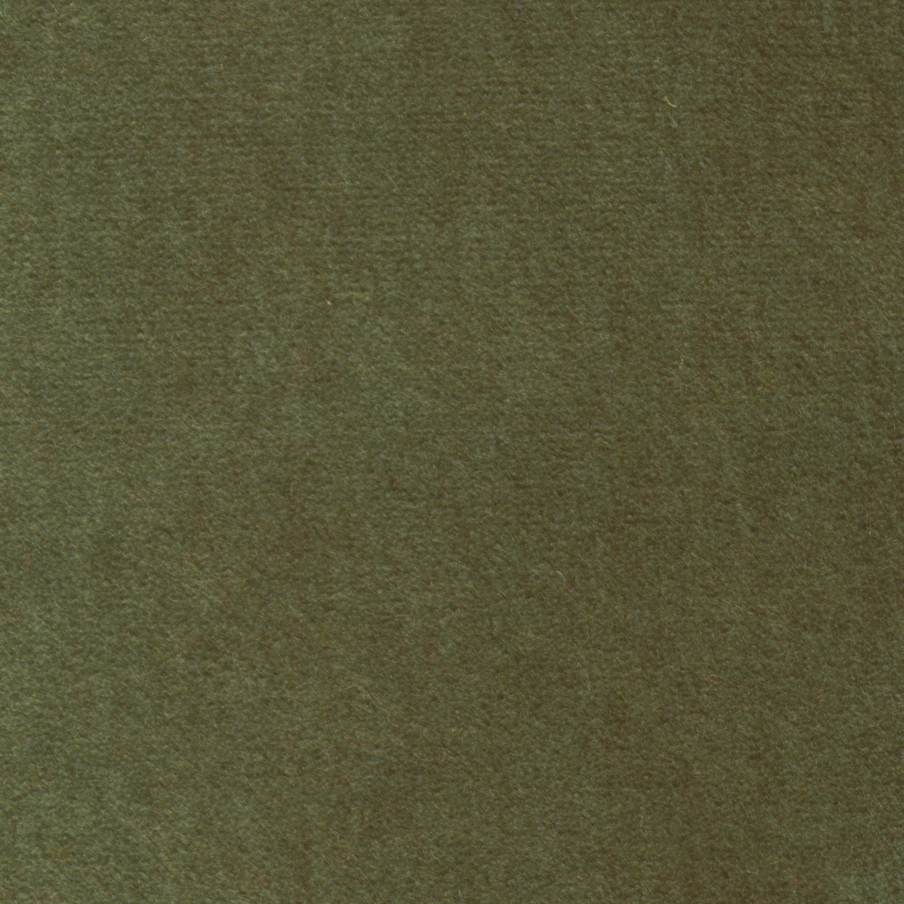 Display product Dusty | Colour Basil 509 from manufacturer DEKOMA