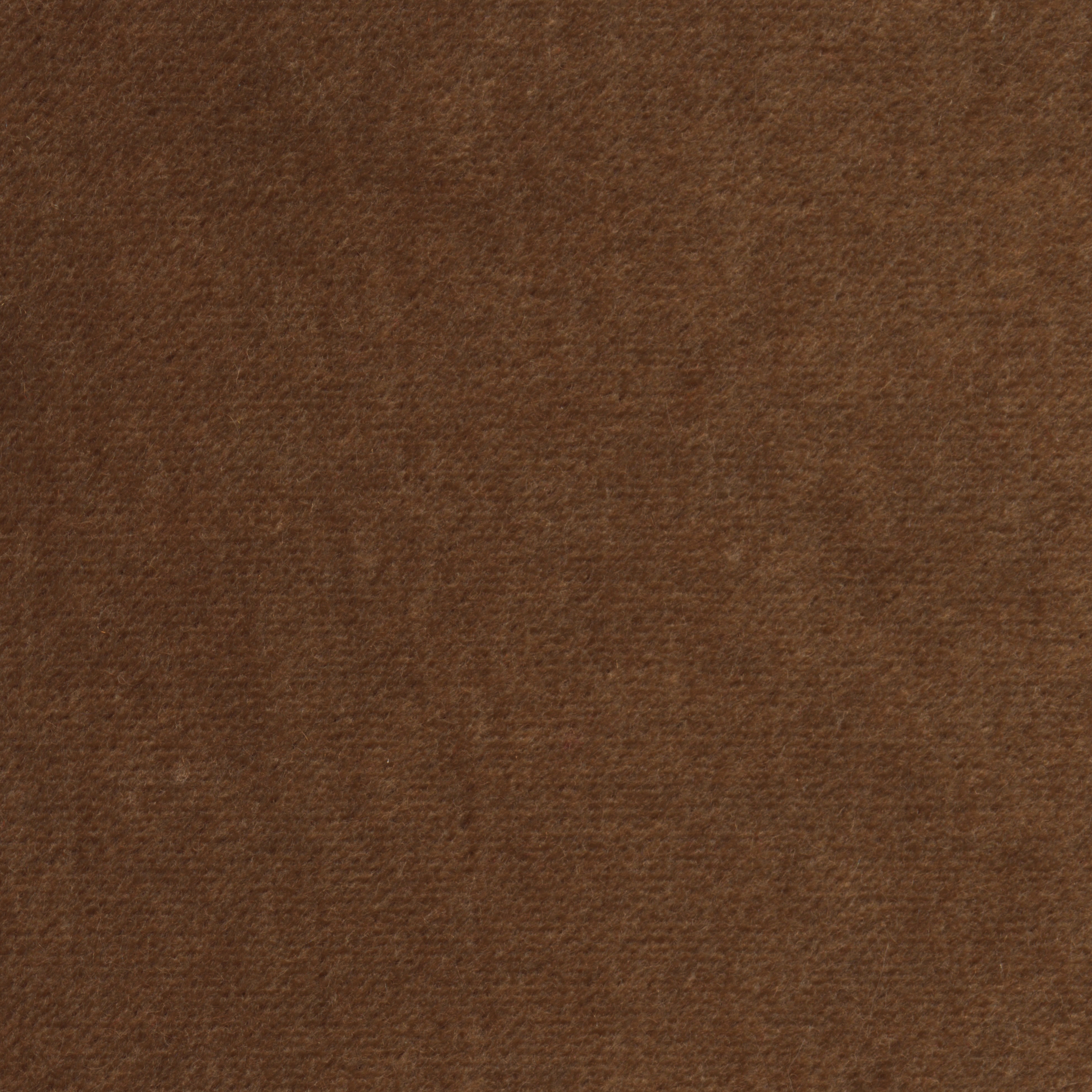 Produkt Dusty | Colour Camel 105 des Herstellers DEKOMA anzeigen