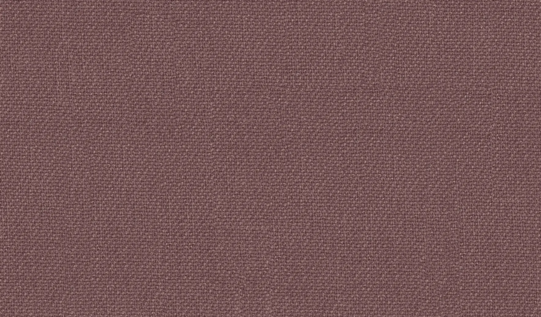 DEKOMA - Manarola | Colour Grape 19