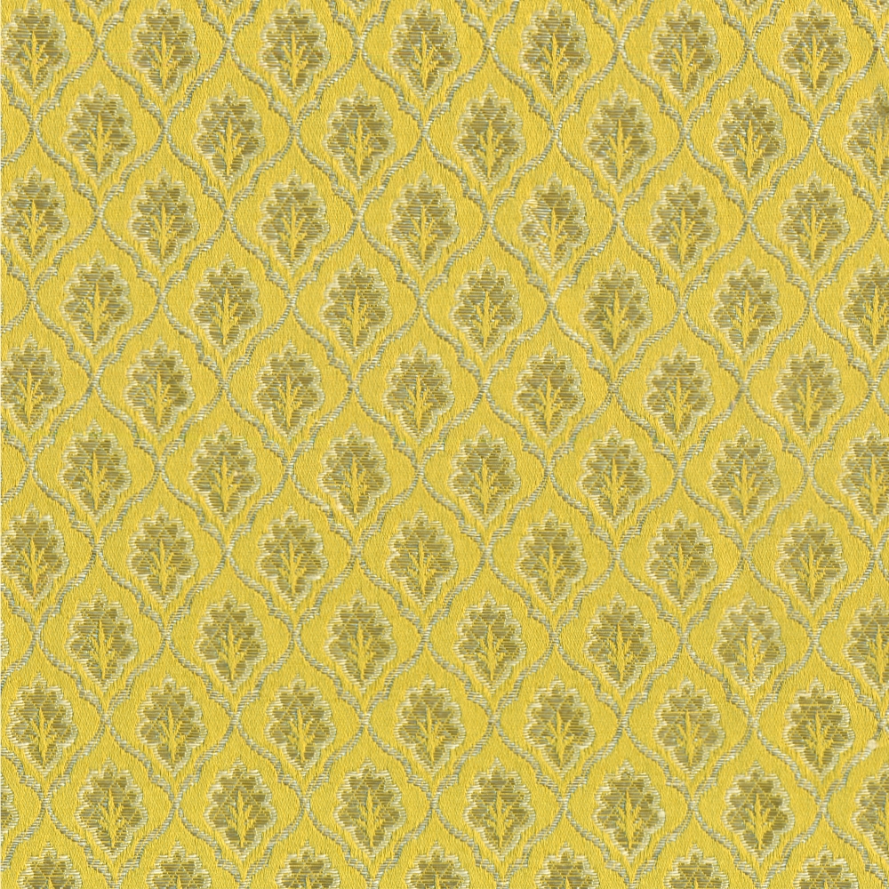 Scarlatti | Gold 001