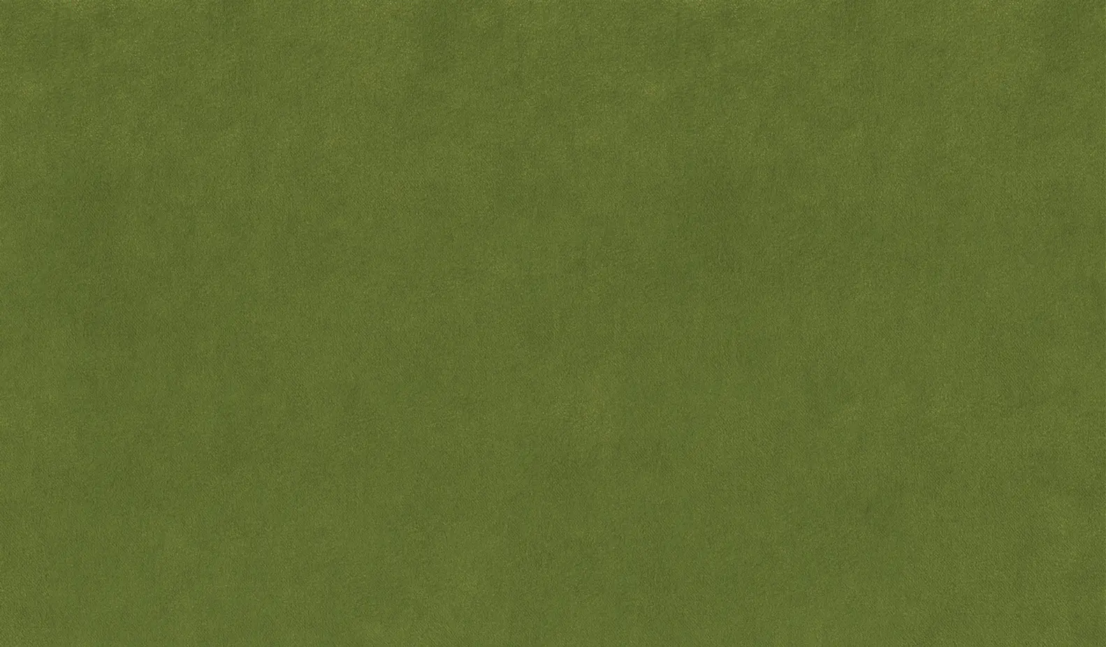 gallery-slide-0