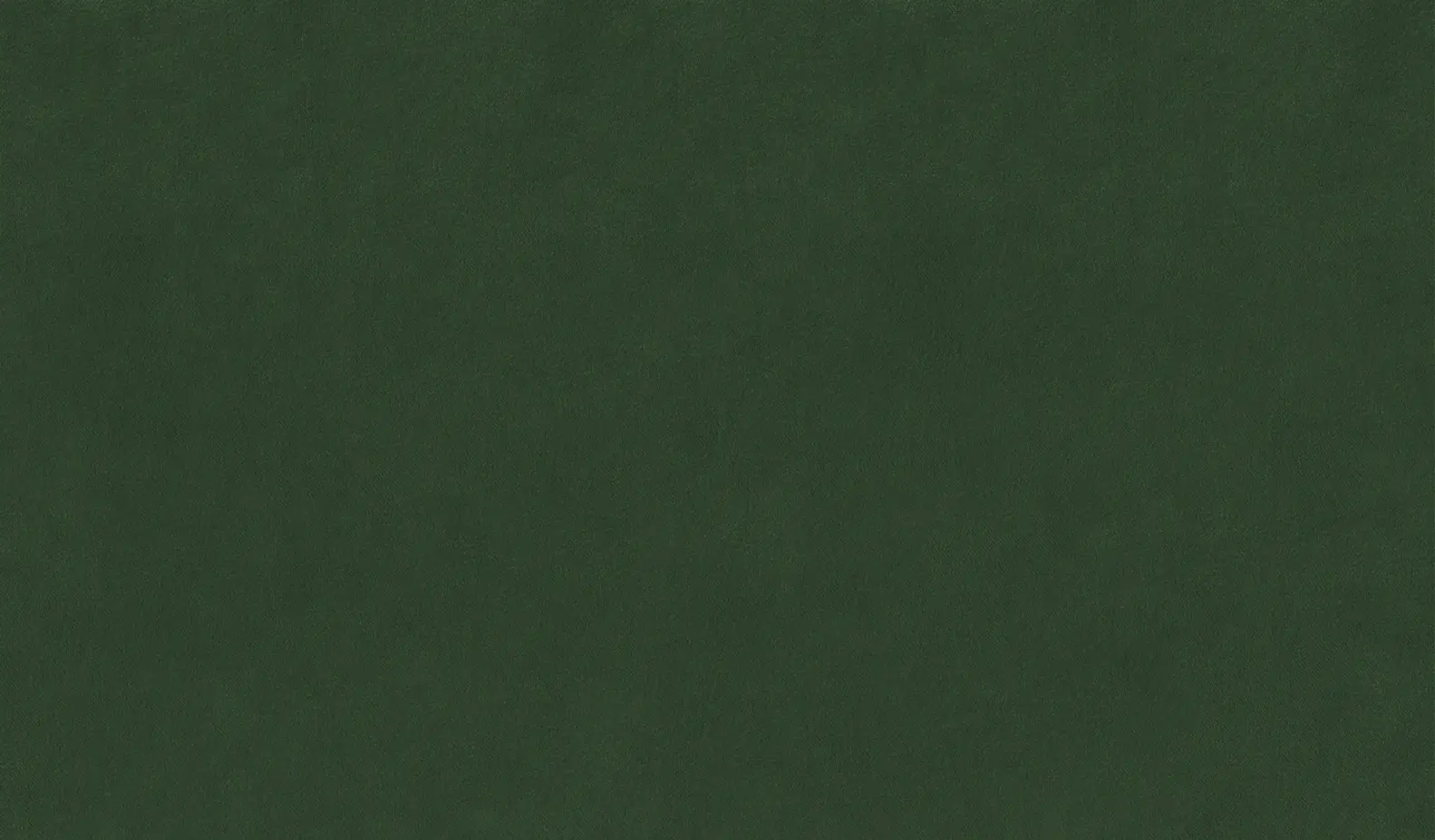 gallery-slide-0
