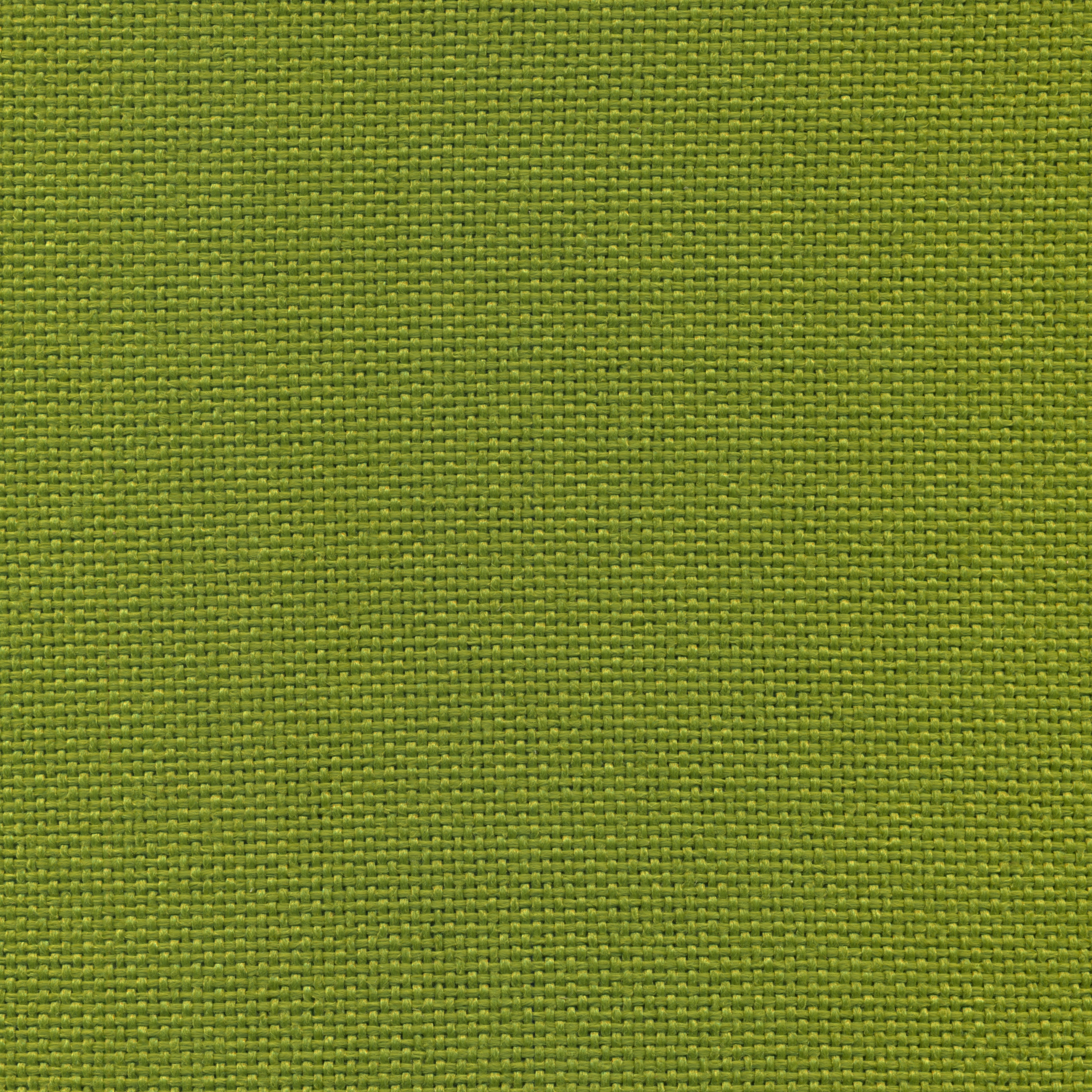 Produkt Trenza | Colour Grass 60 des Herstellers DEKOMA anzeigen