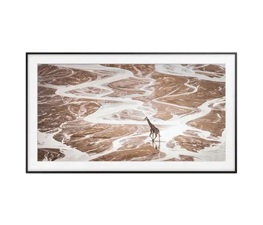 Samsung - The Frame 55"