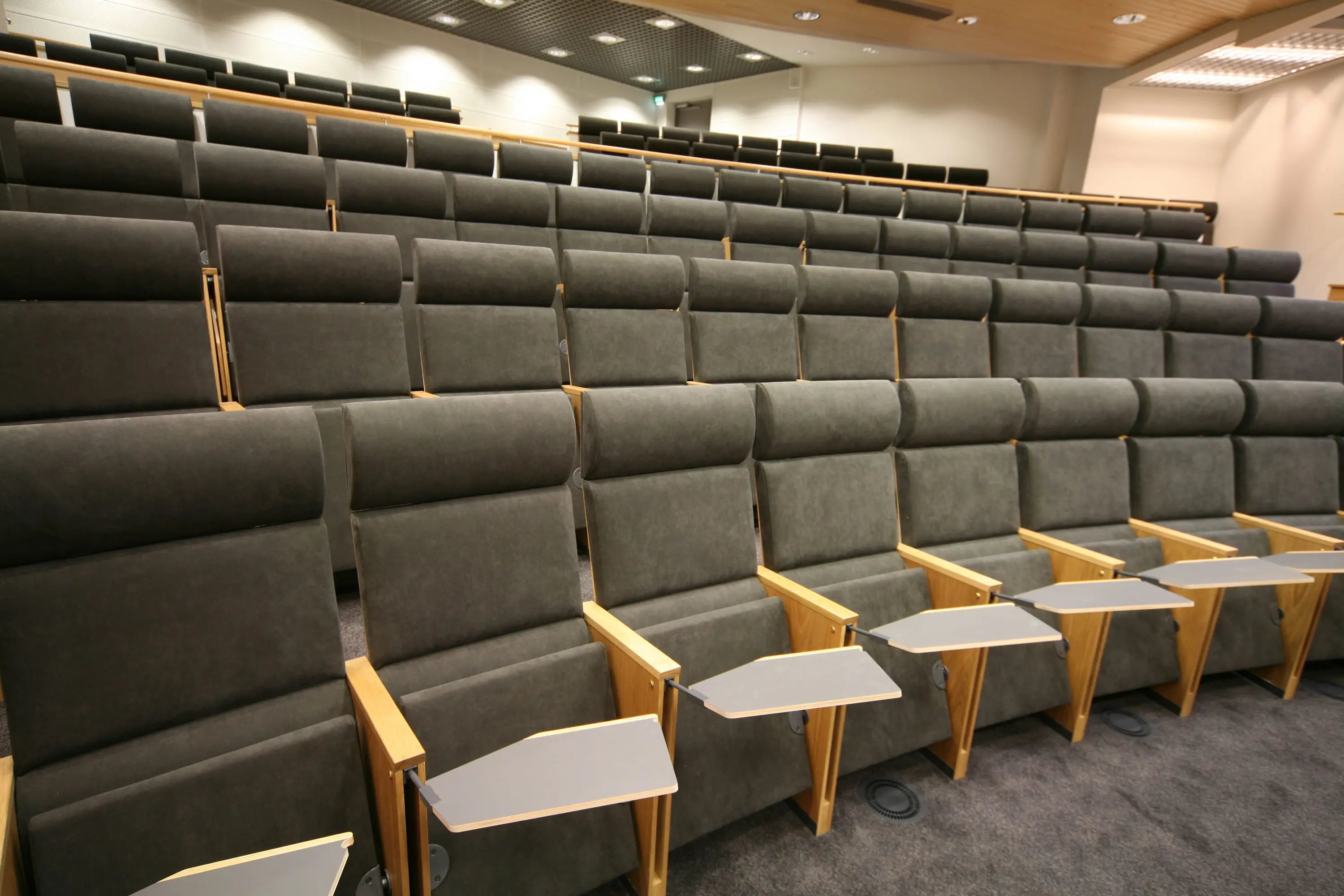 Hamari - Odeon