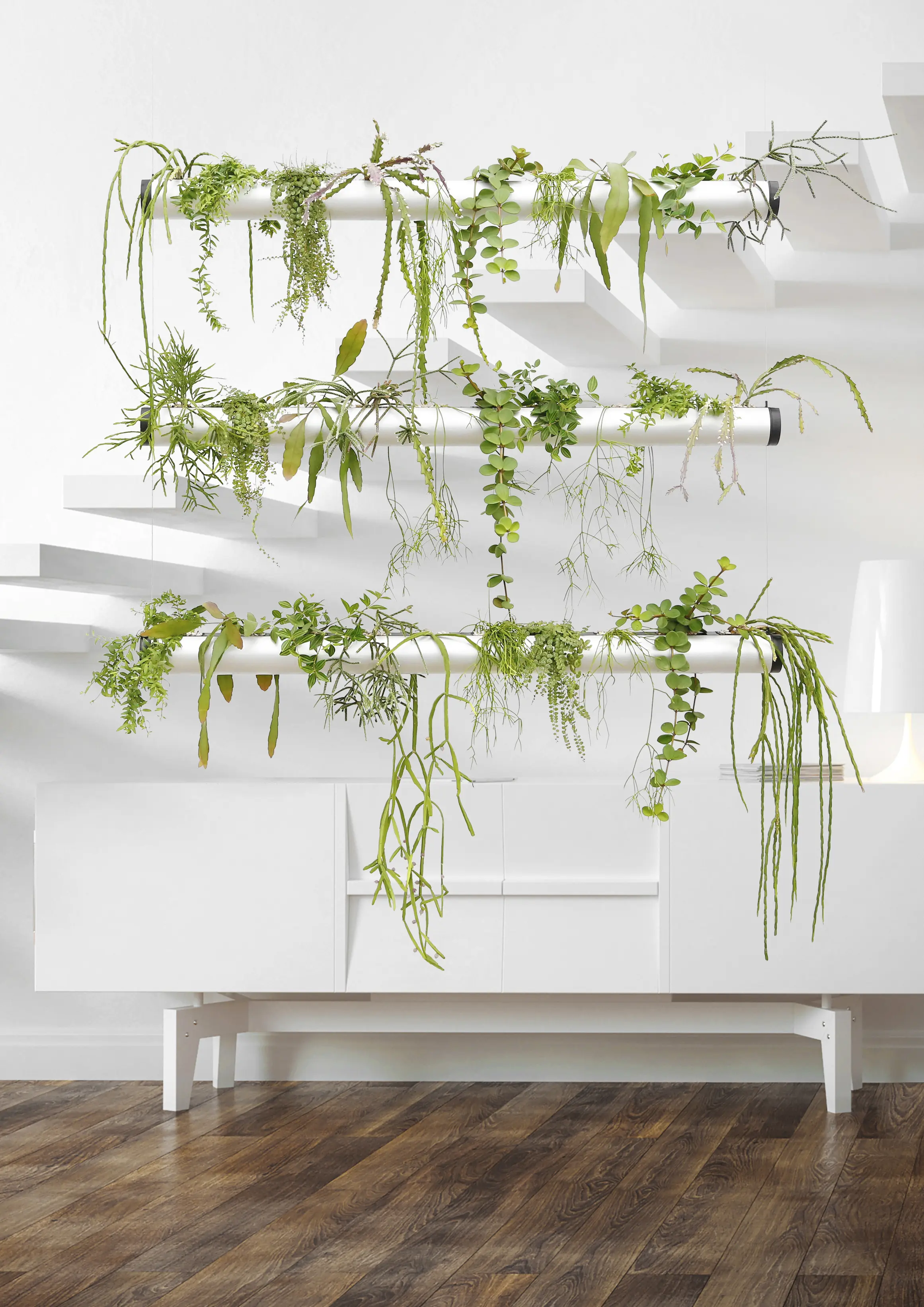 Pendularis - Pendularis